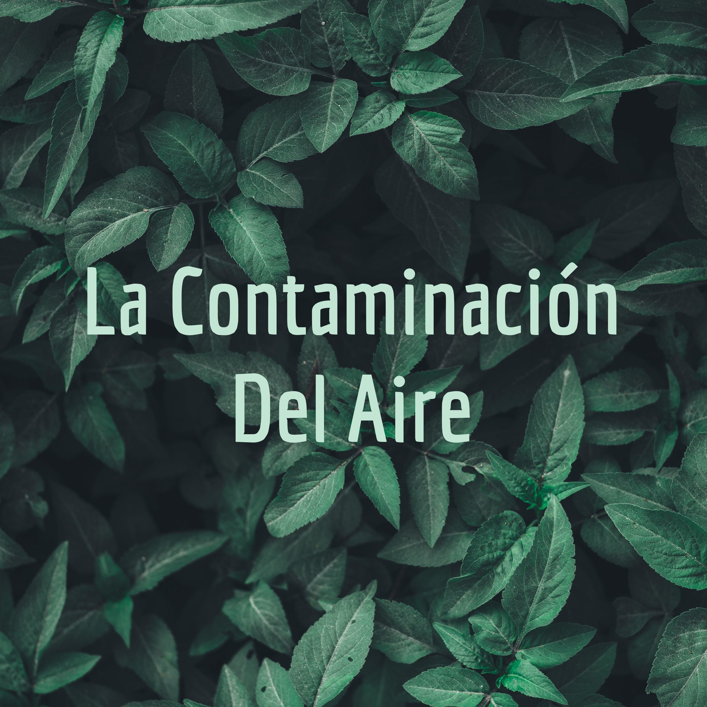 La Contaminación Del Aire