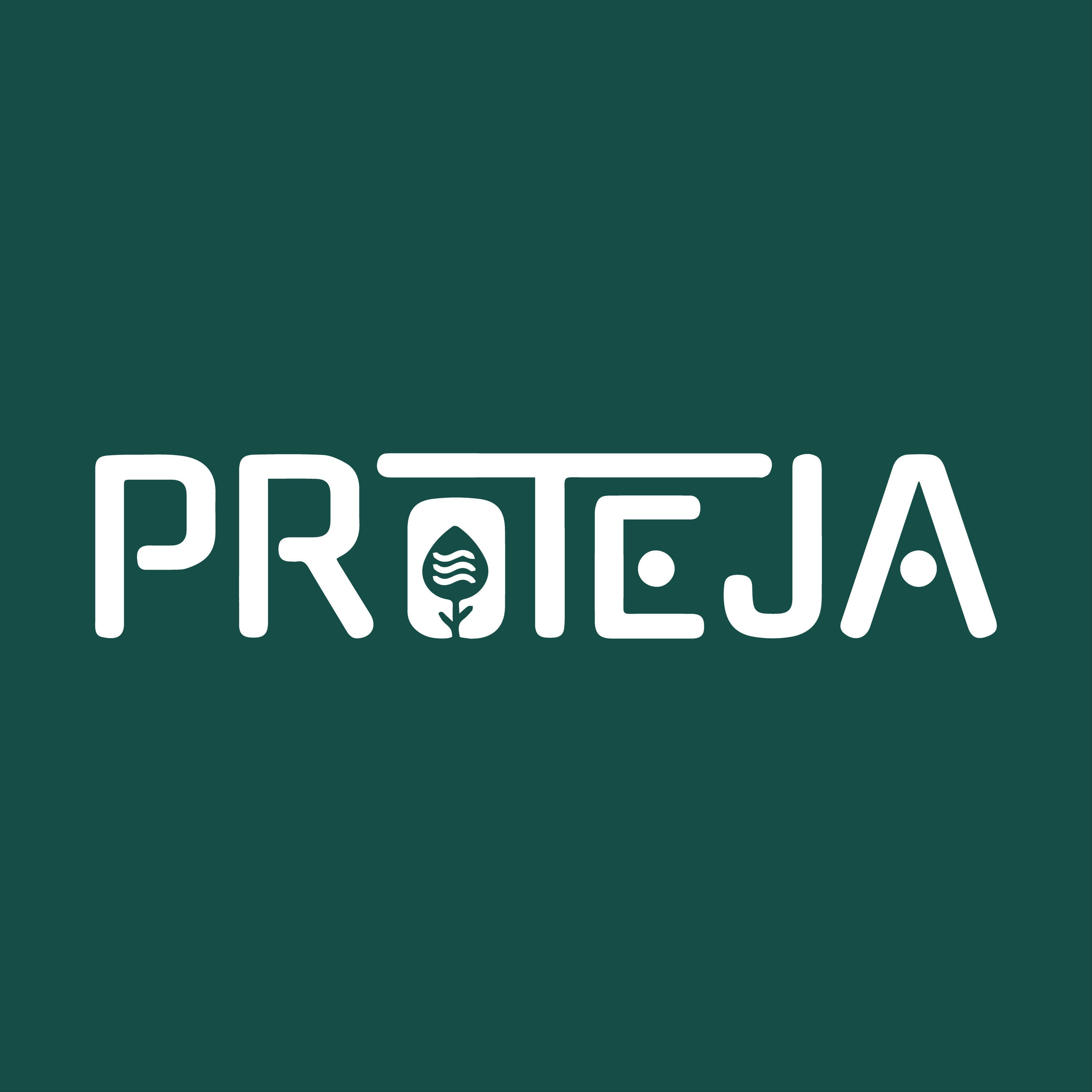 PROTEJA Brasil