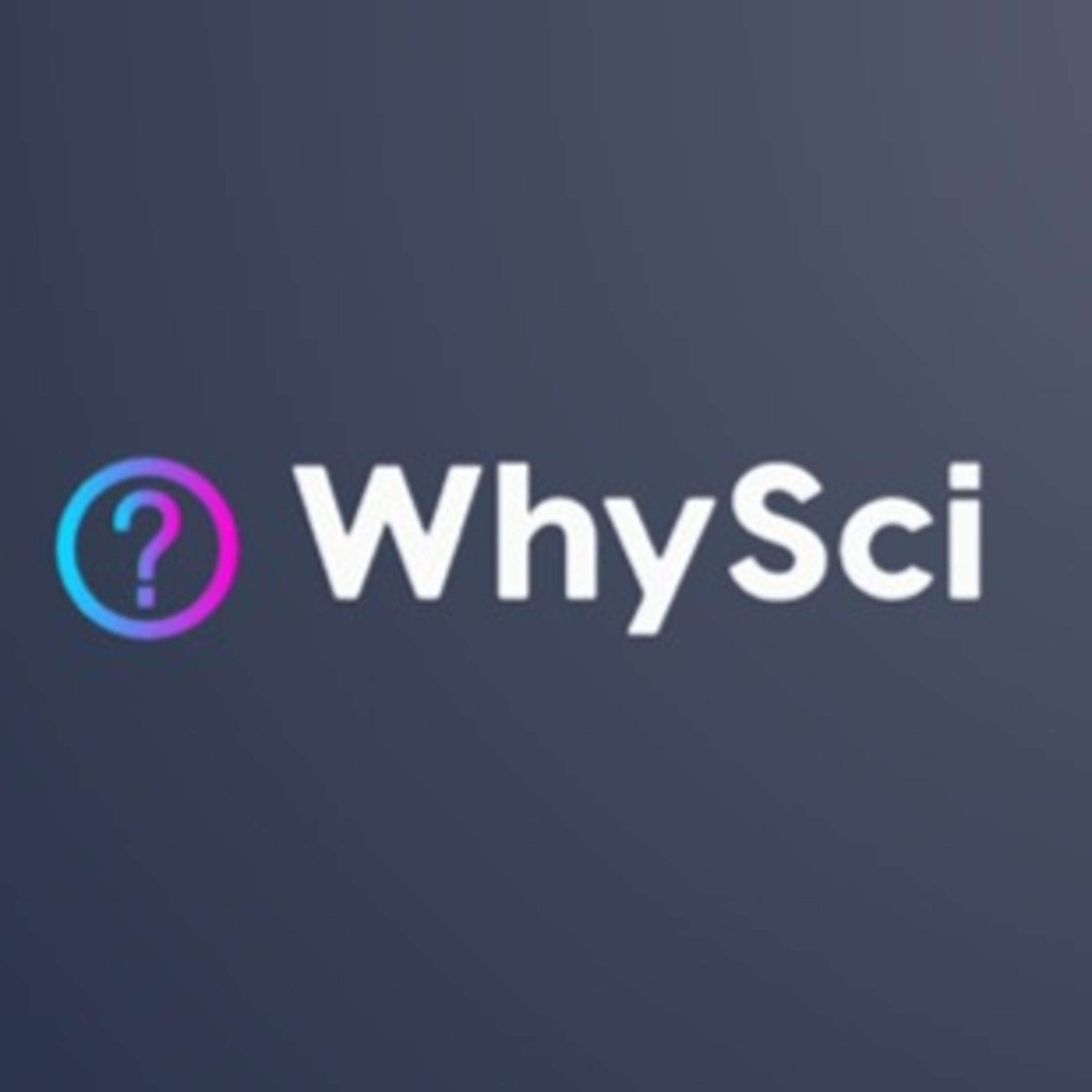What Is The Science Behind Addiction? What Is The Science Behind Addiction?