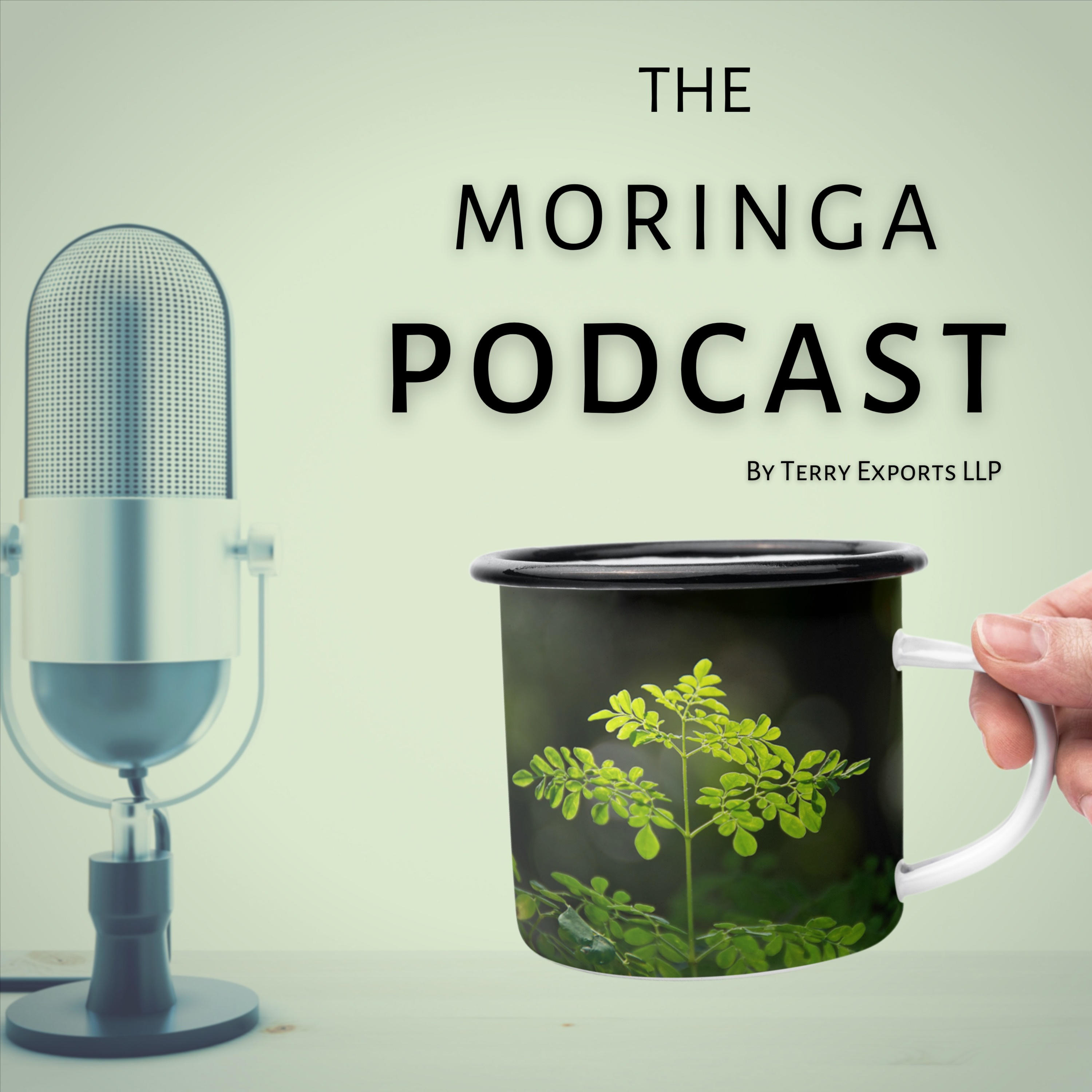 Moringa Talk with Micha from Israel.