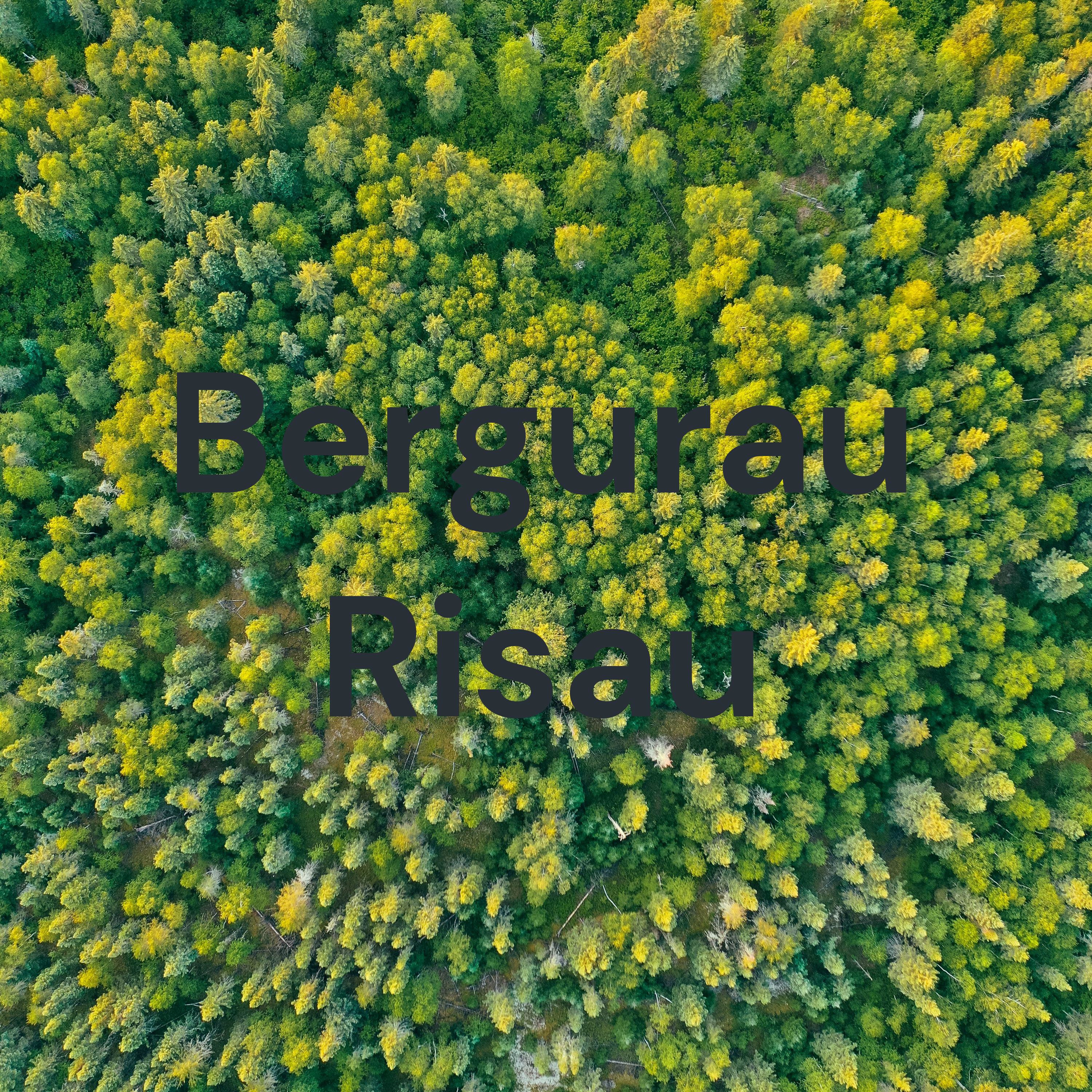 Bergurau Risau