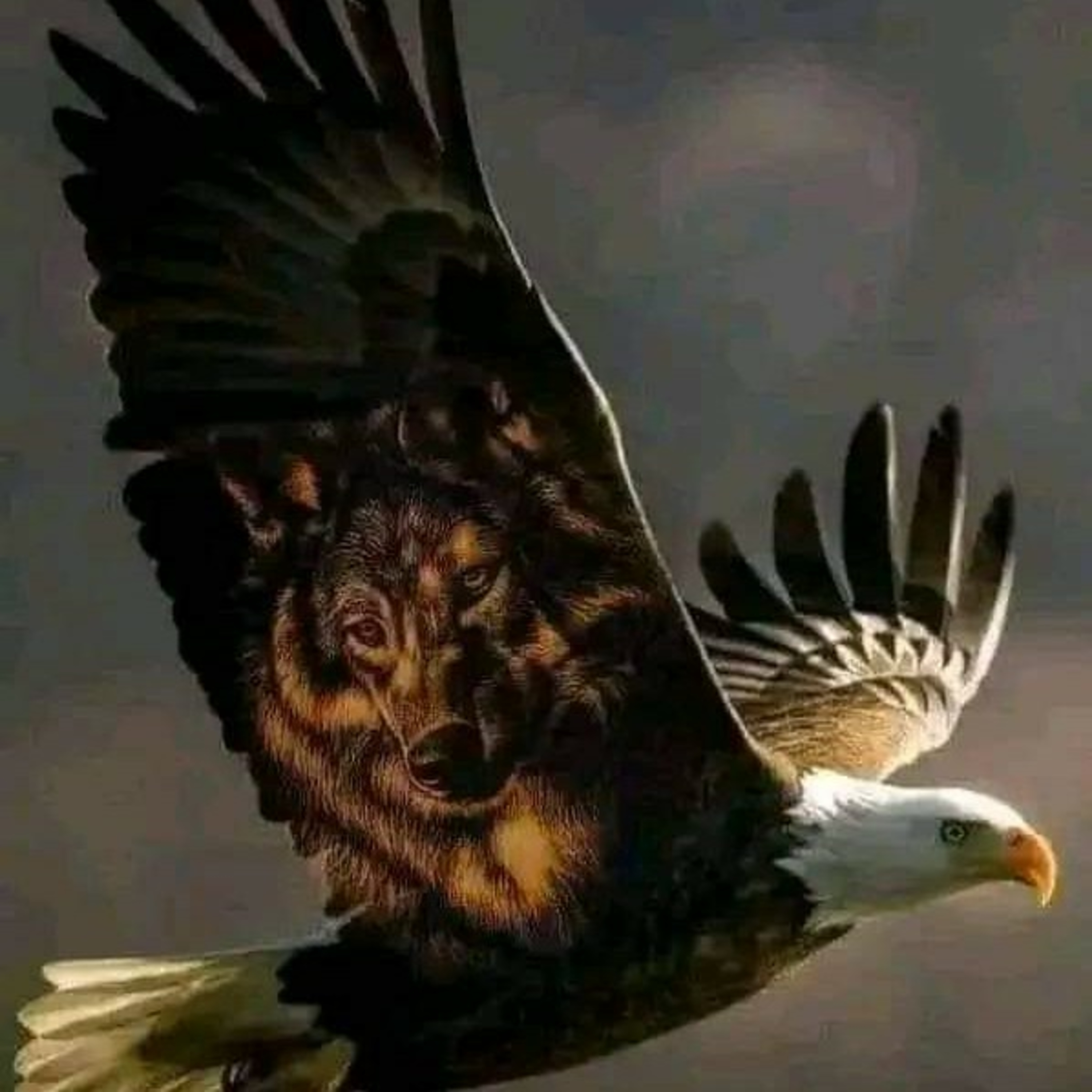 It’s Your Life, Be Stubborn. But Don’t Be A Douche.