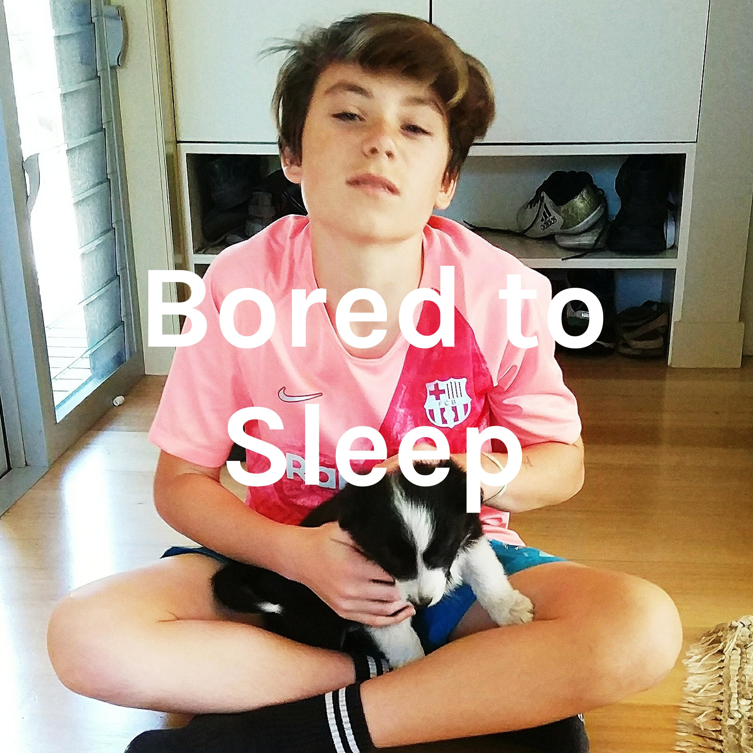 Bored to Sleep 