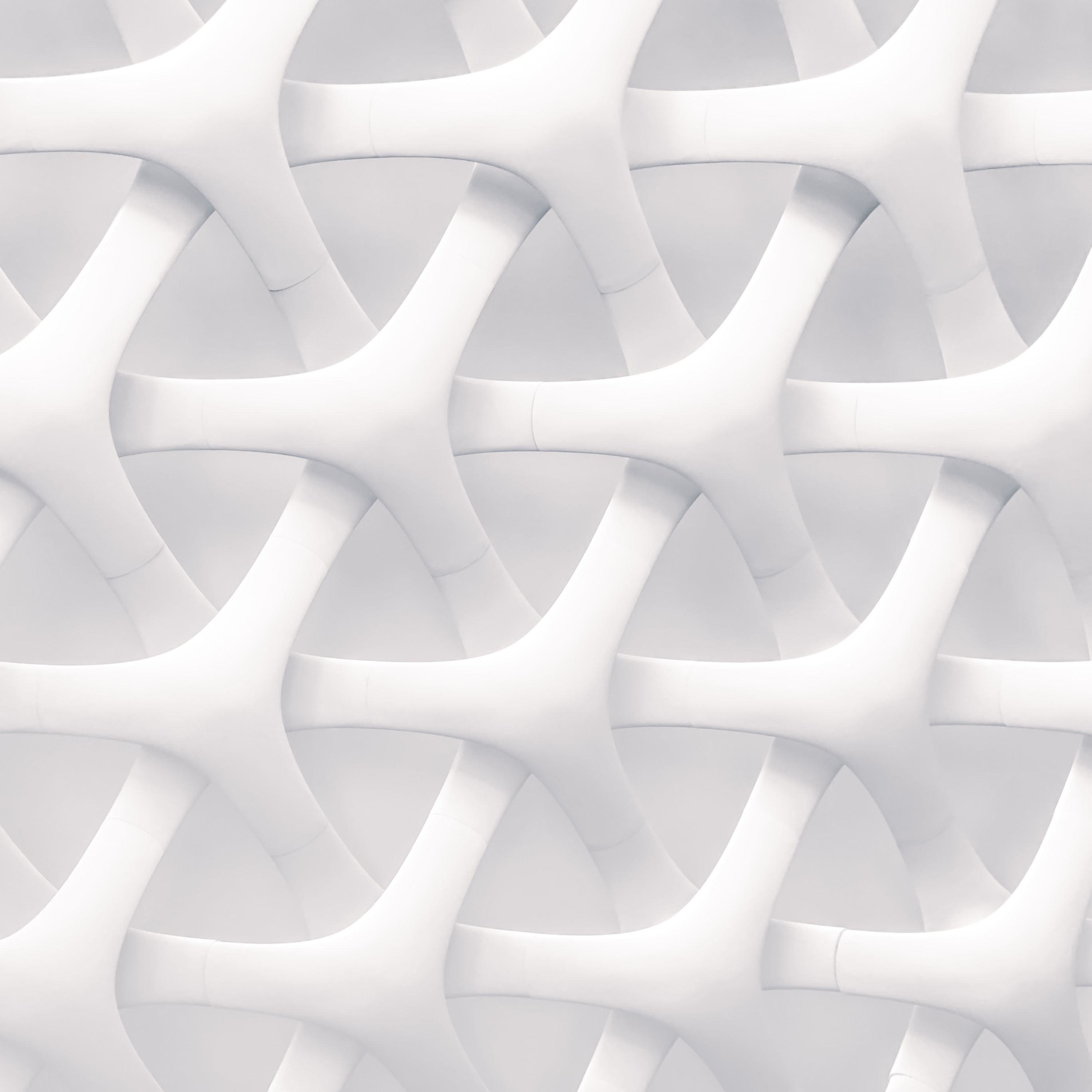 Democracy and authority