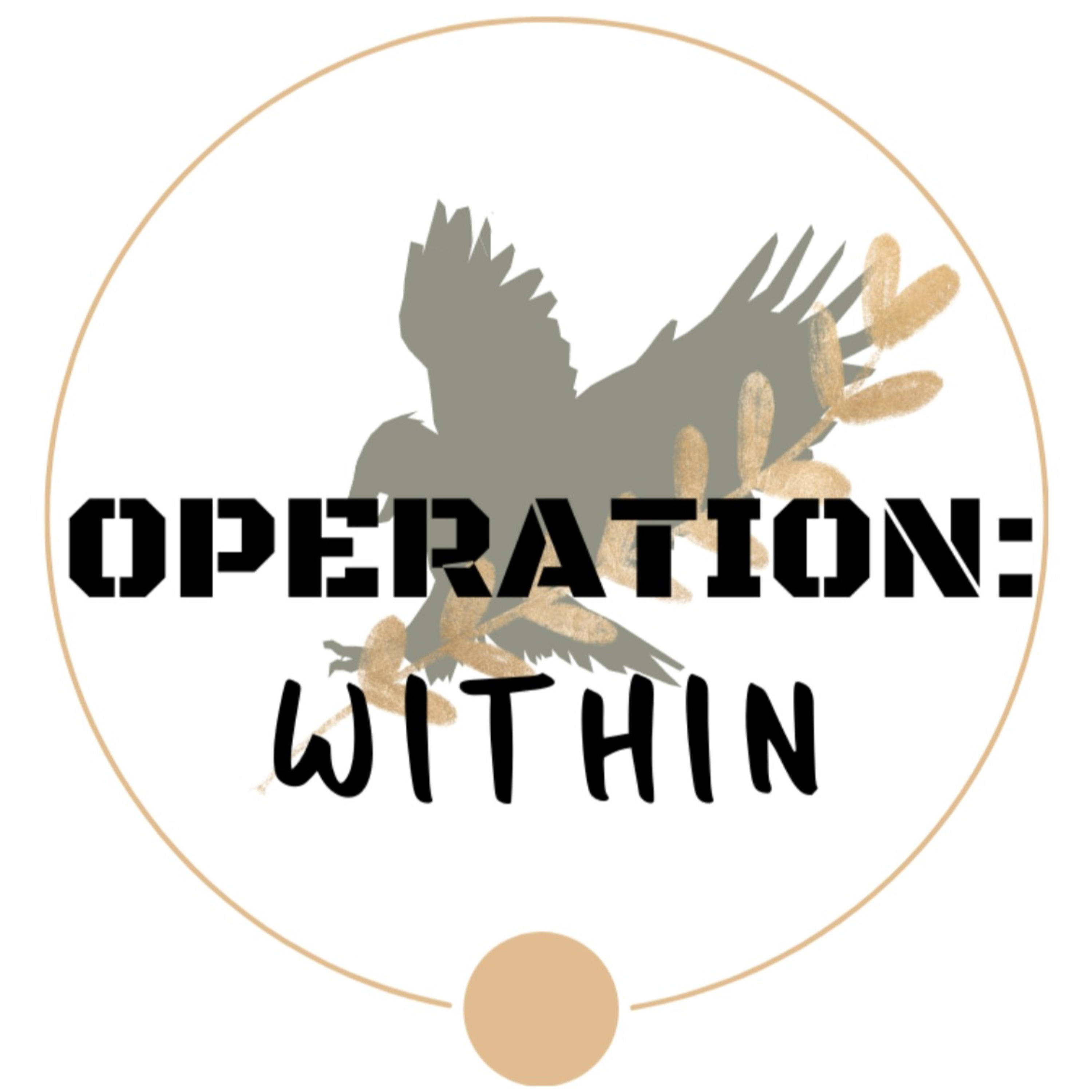 Operation Within Podcast: Holistic Health Matters