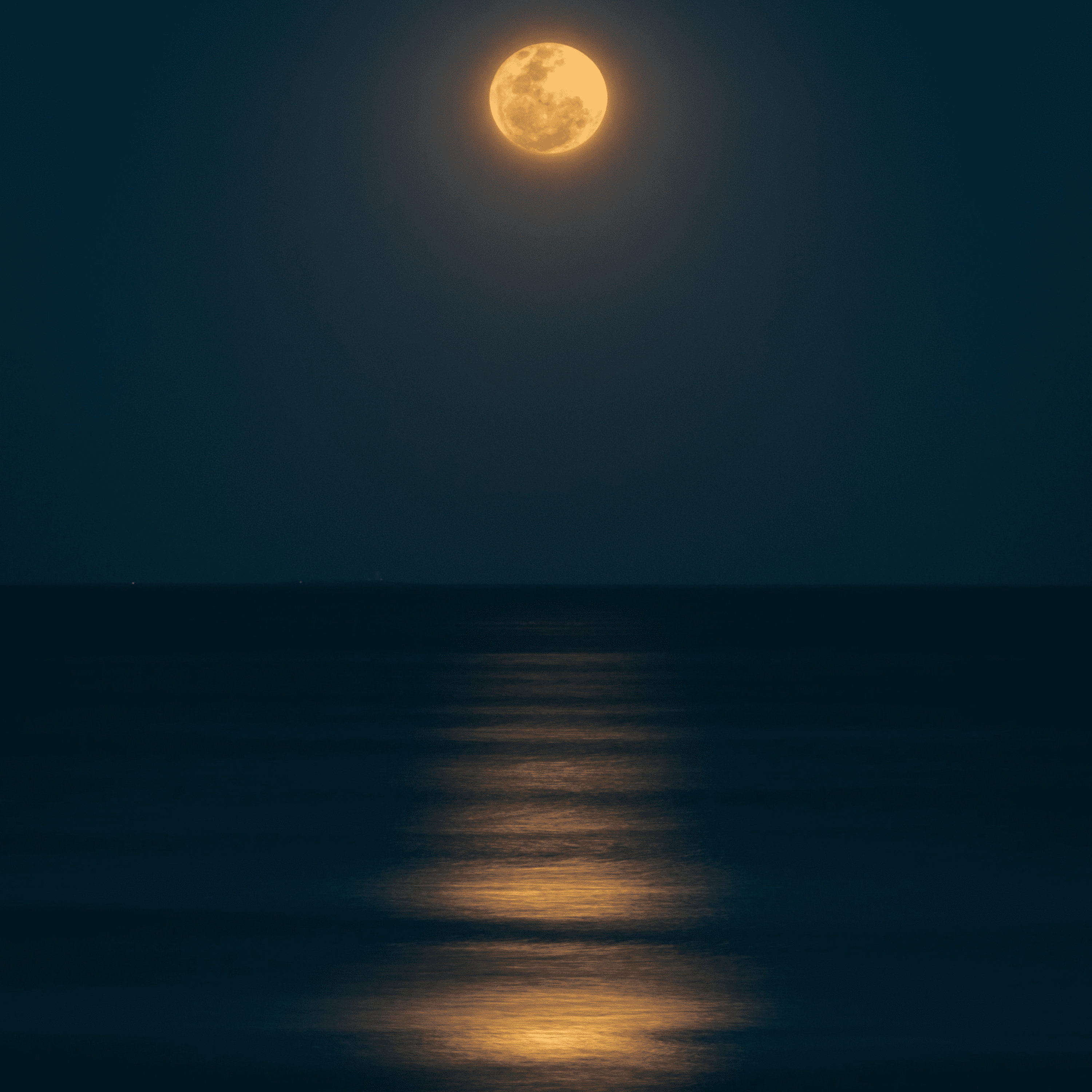 Meditations