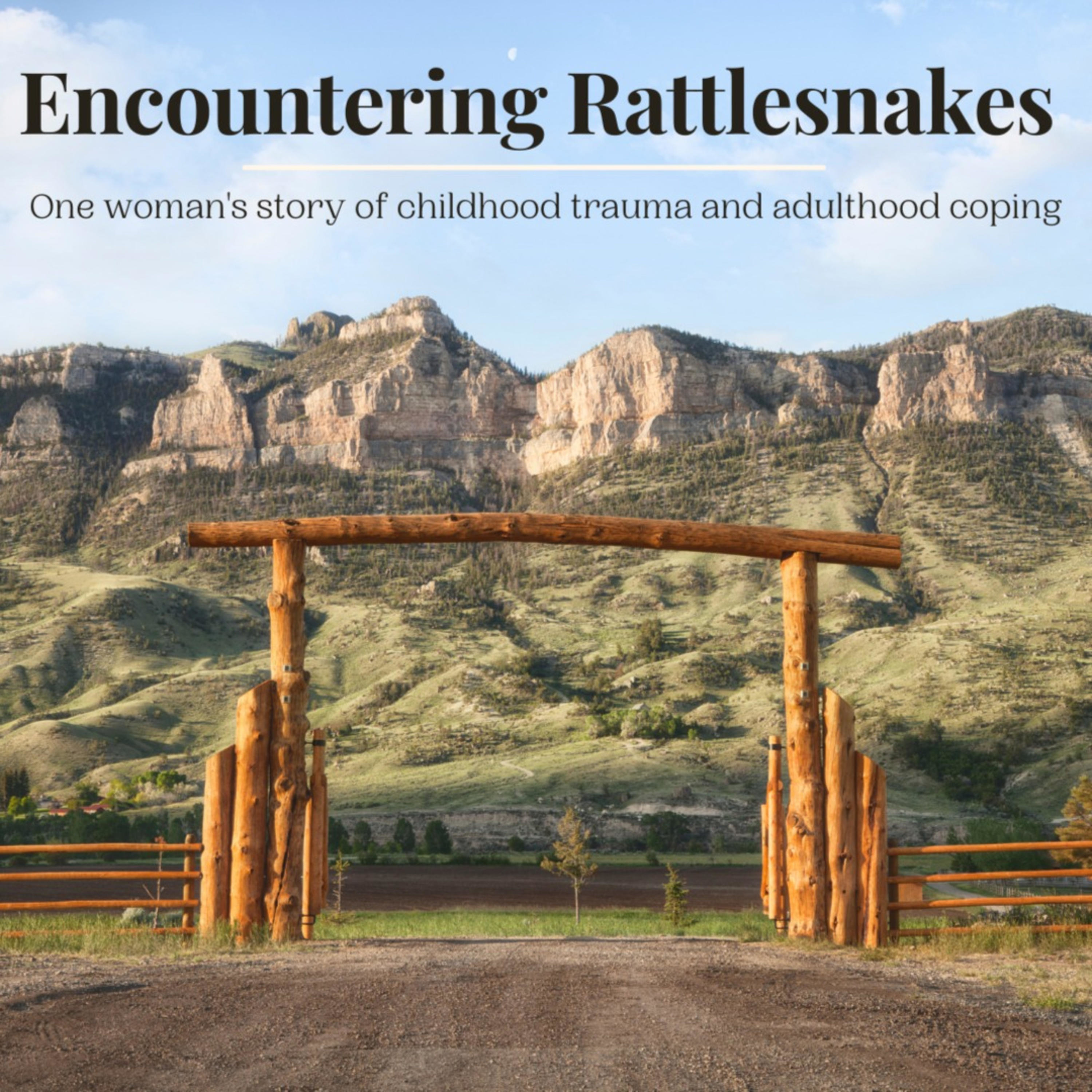 Encountering Rattlesnakes
