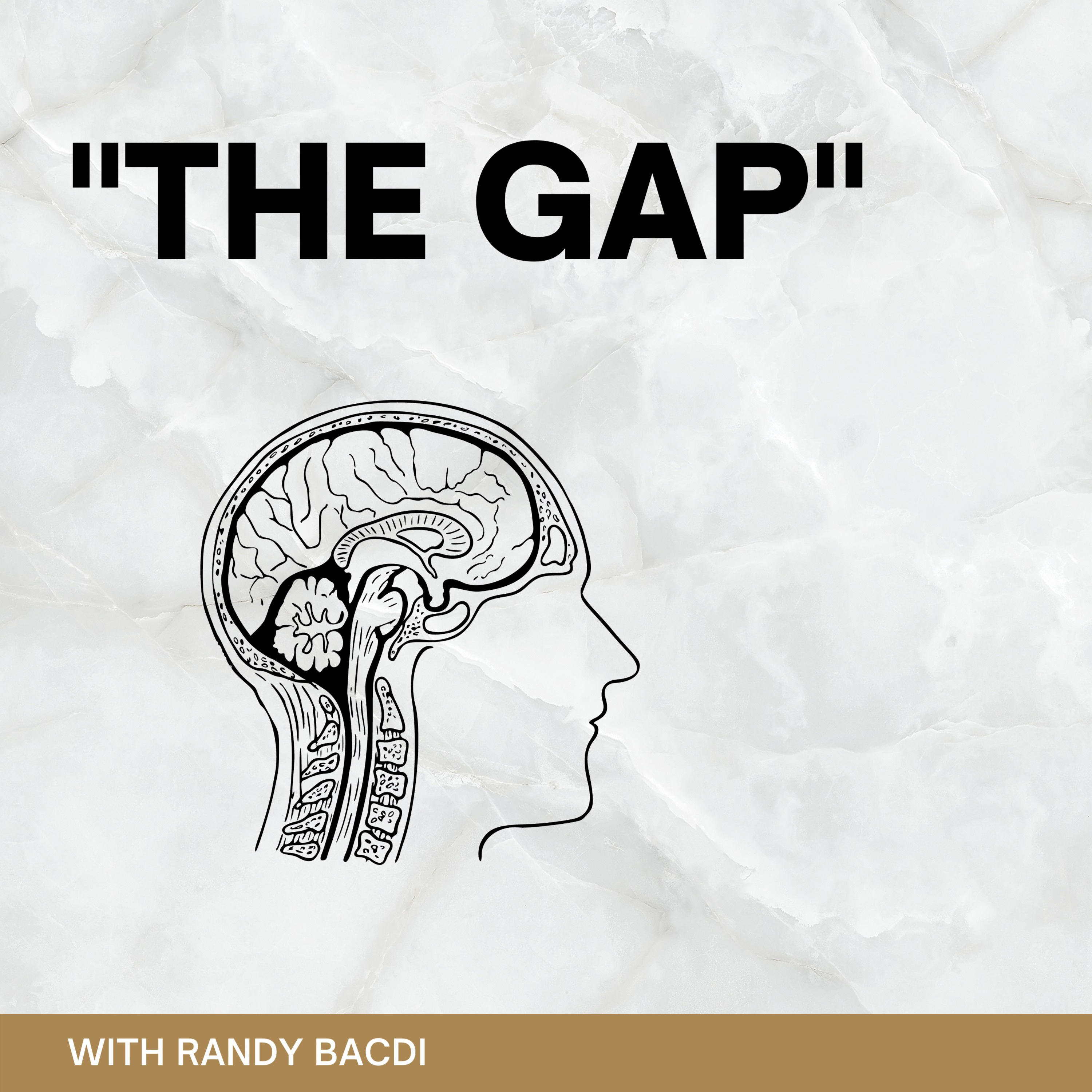 The Gap podcast artwork