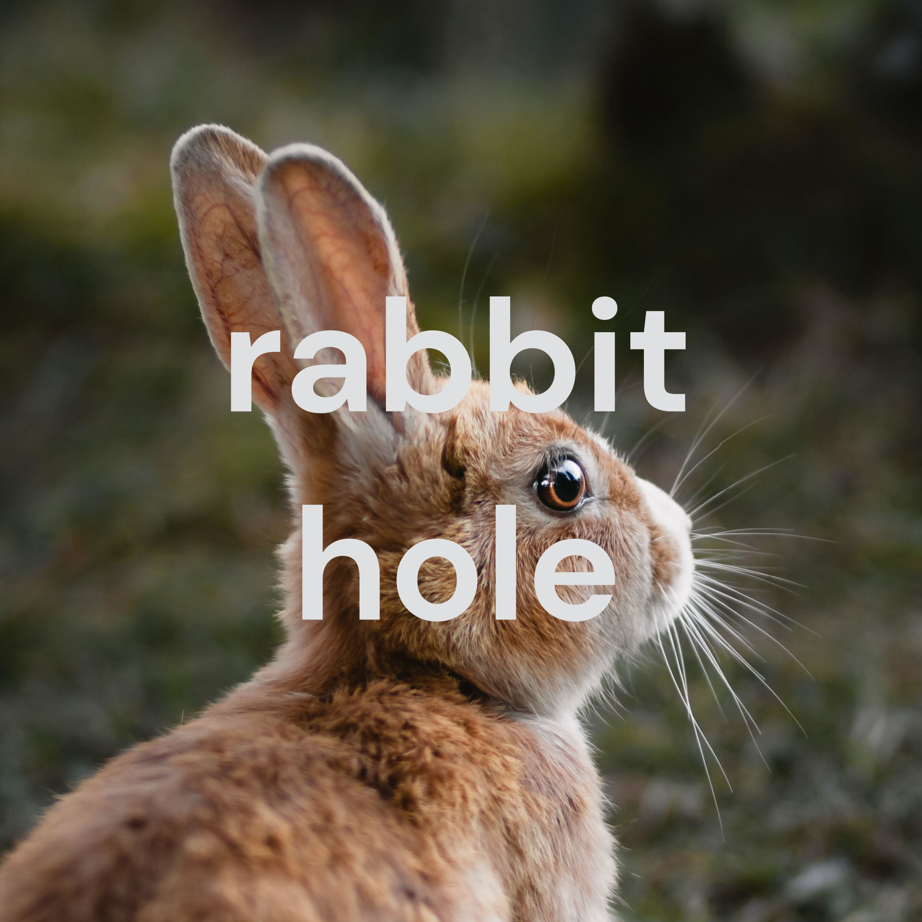 rabbit hole