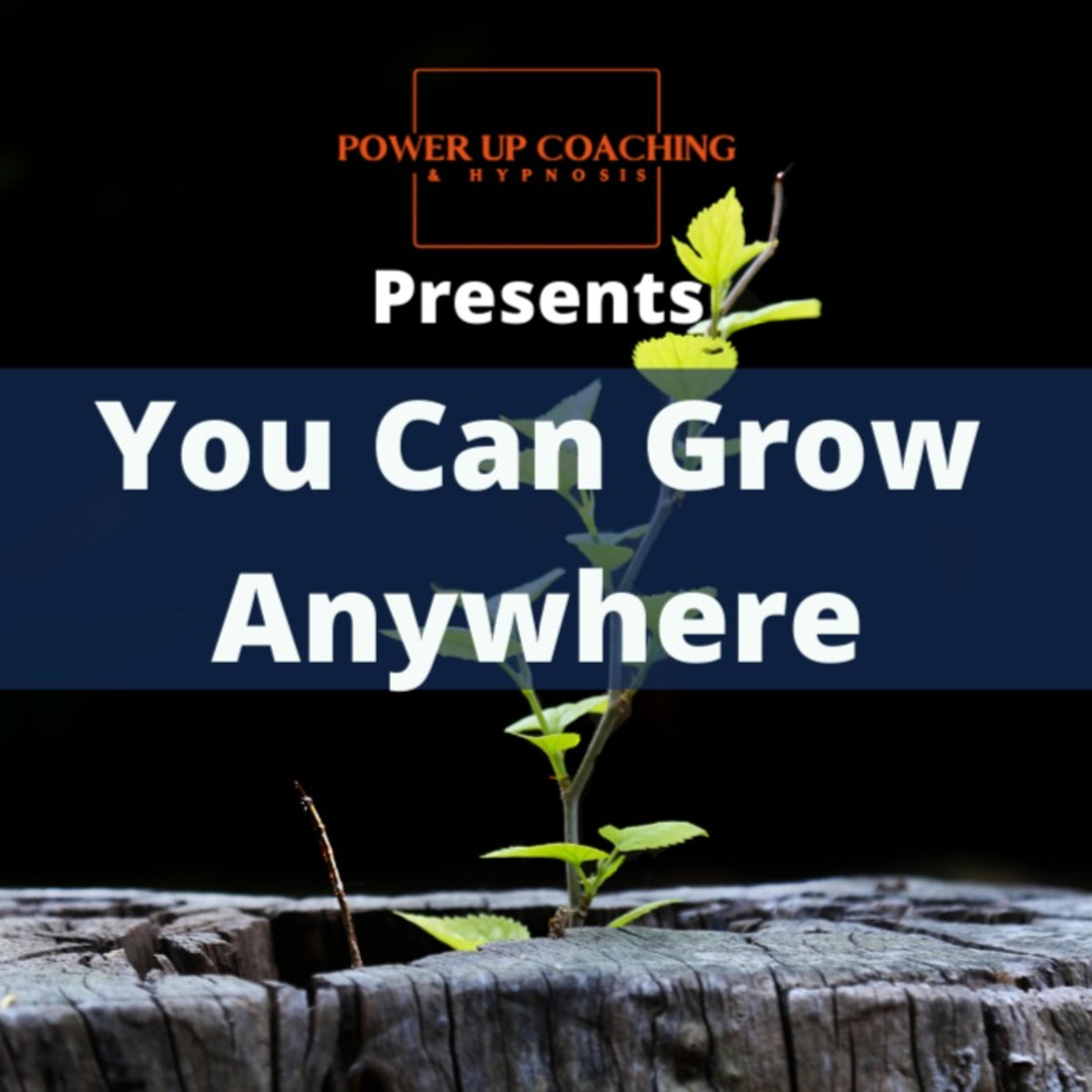 You Can Grow Anywhere