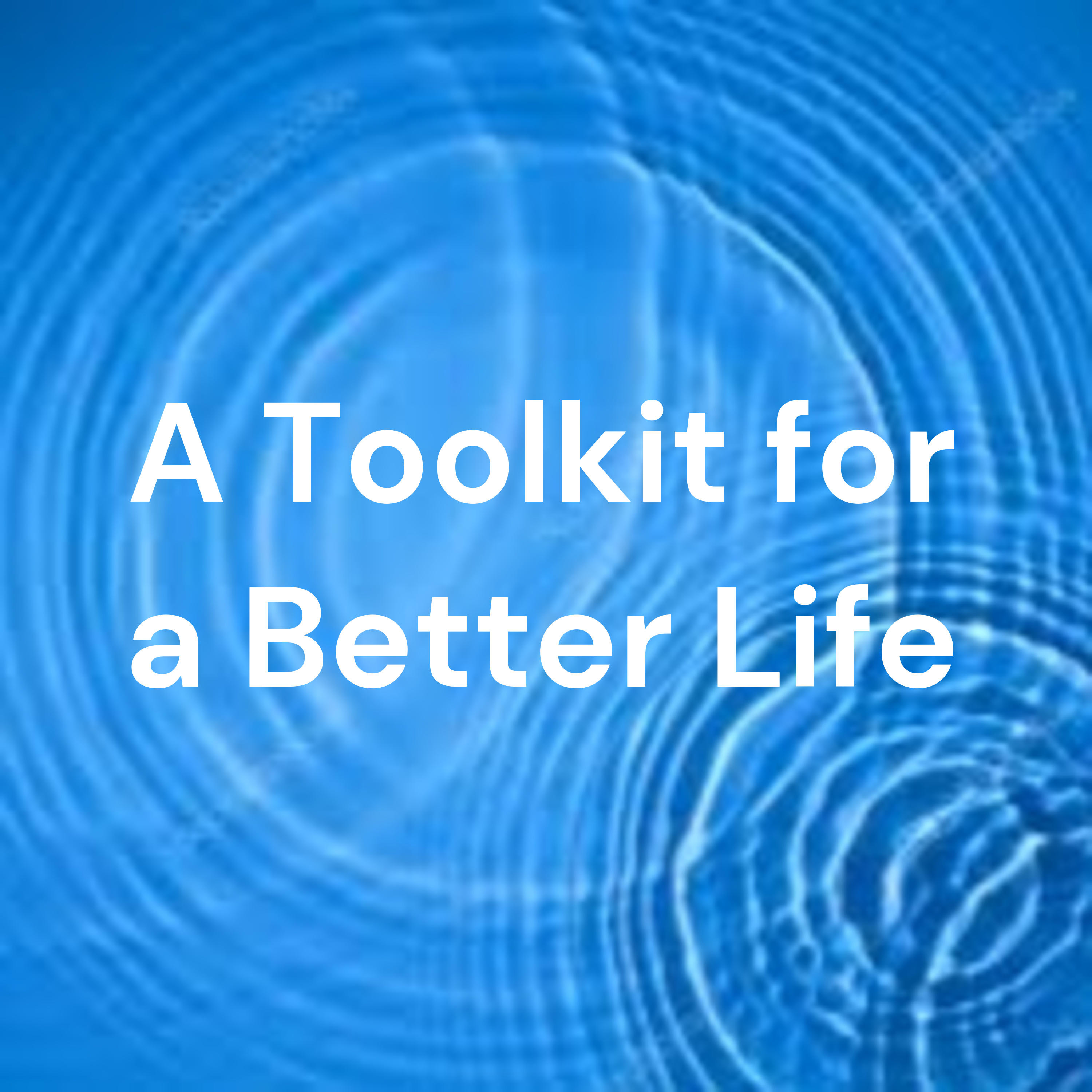 A Toolkit for a Better Life