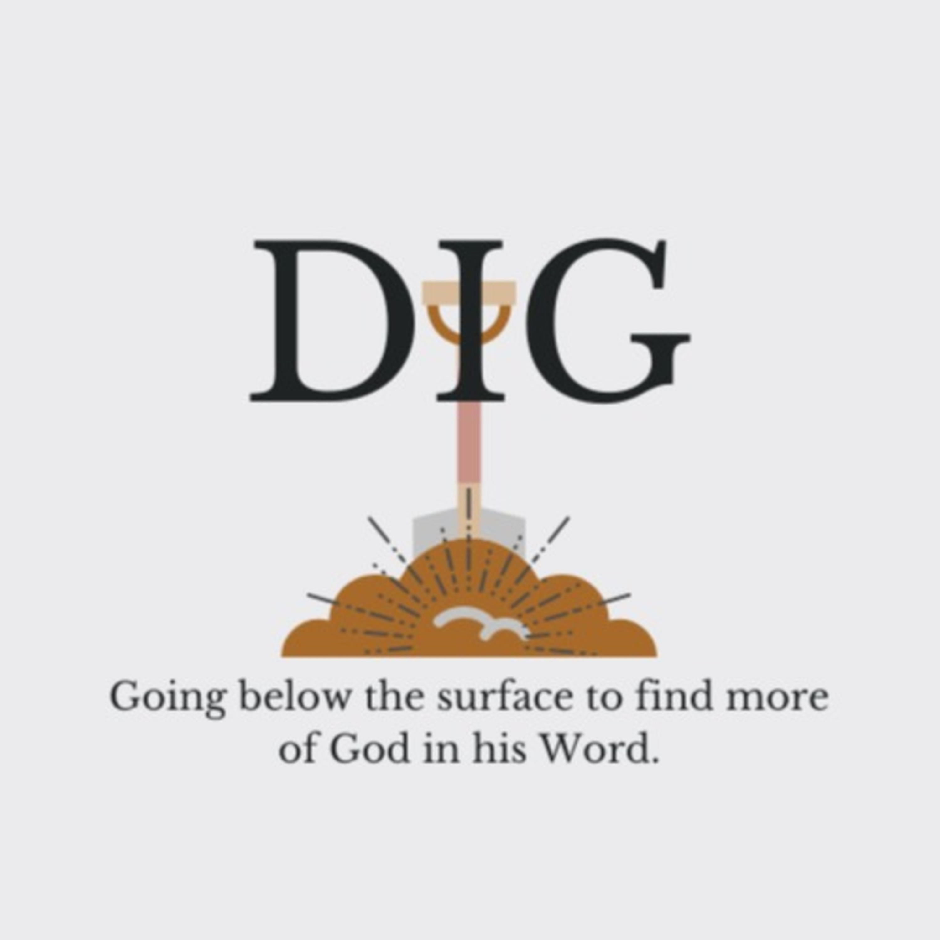 Dig with Alli Patterson podcast artwork