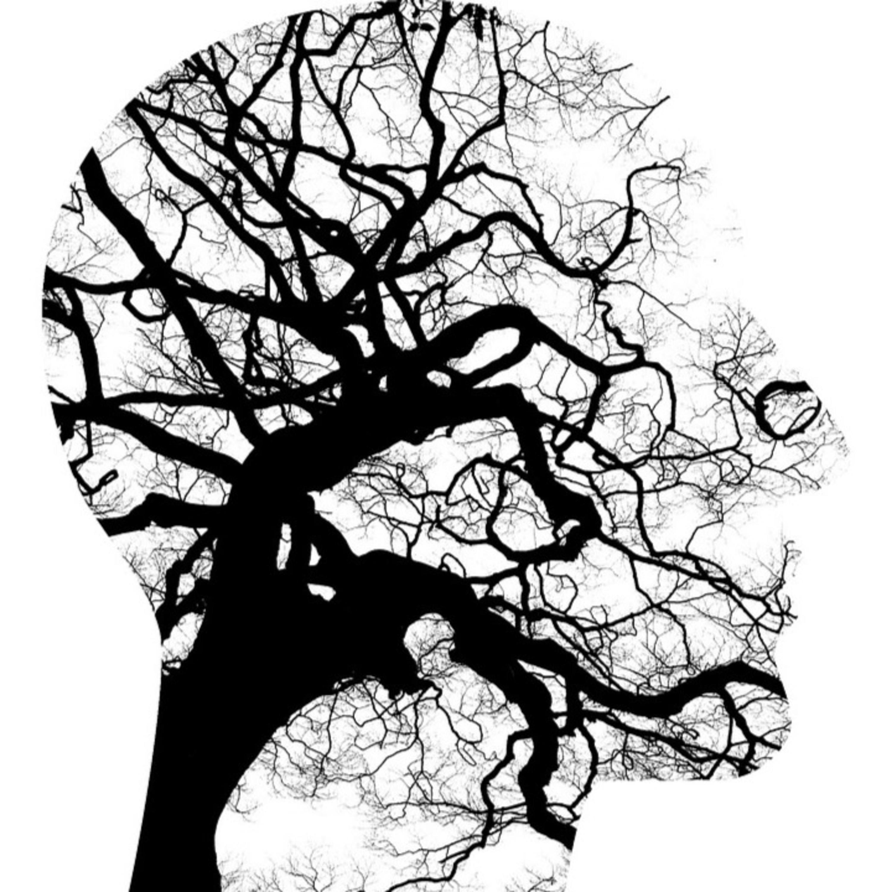 Be Kind To Your Mind podcast artwork