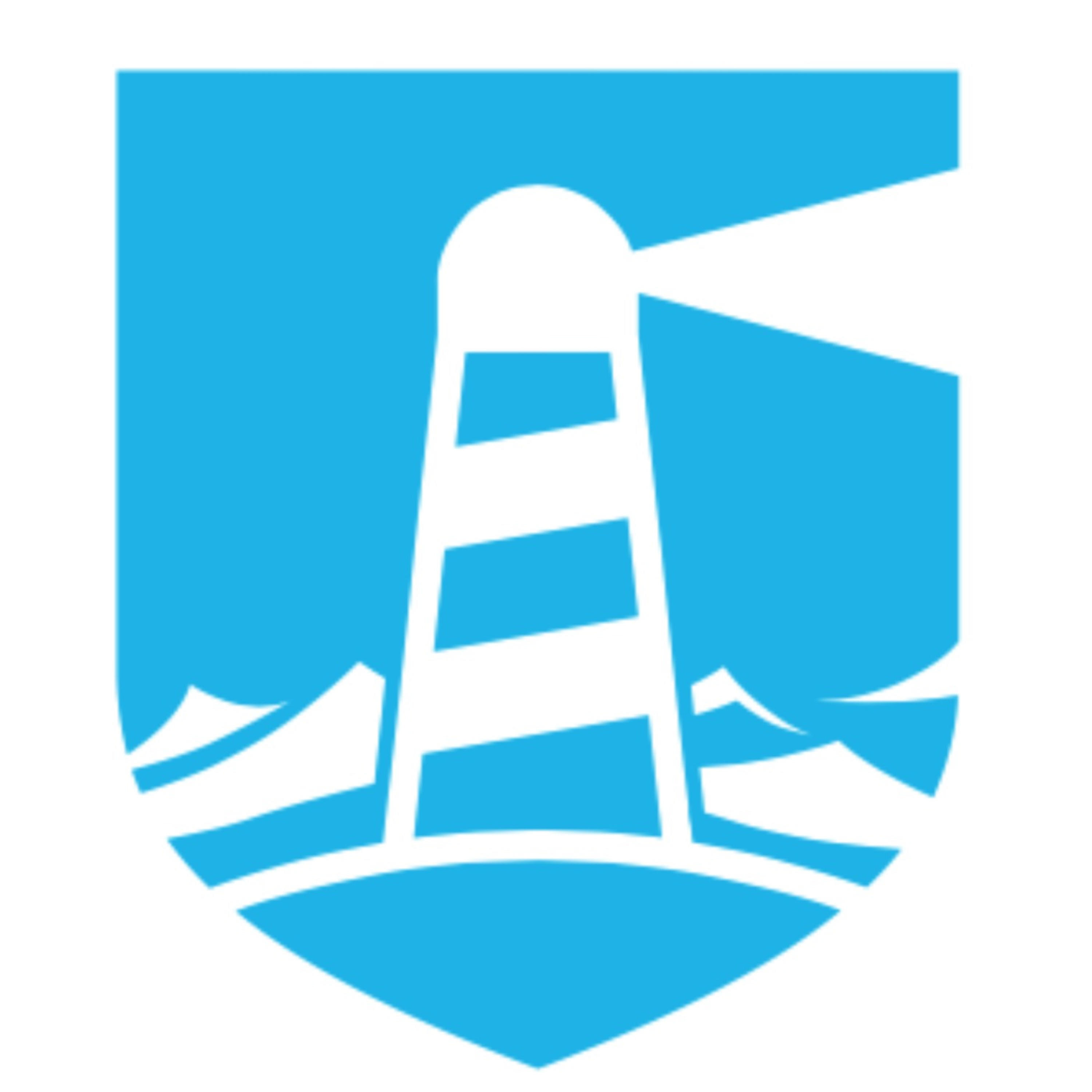 Board Member Insights