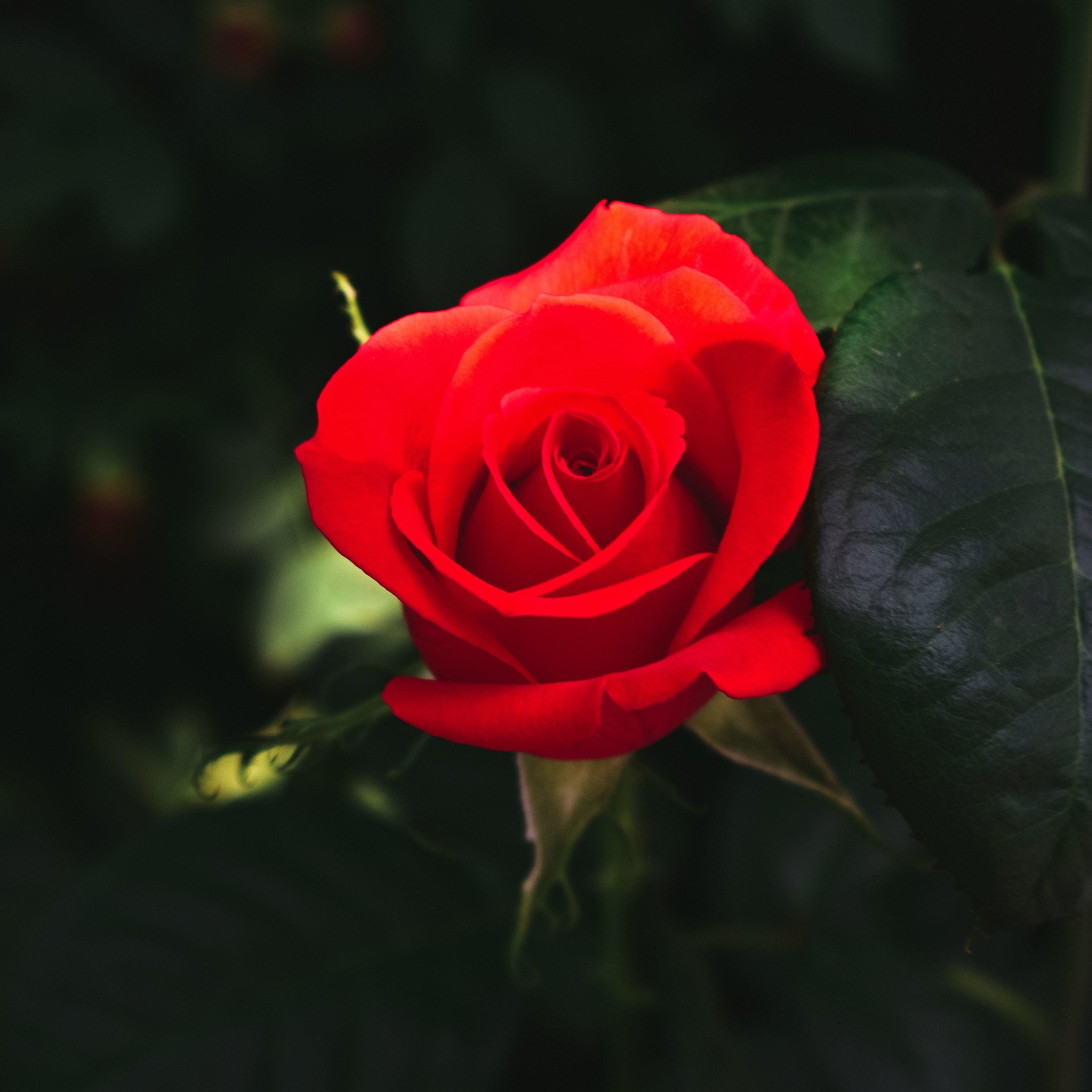 The Business of Love