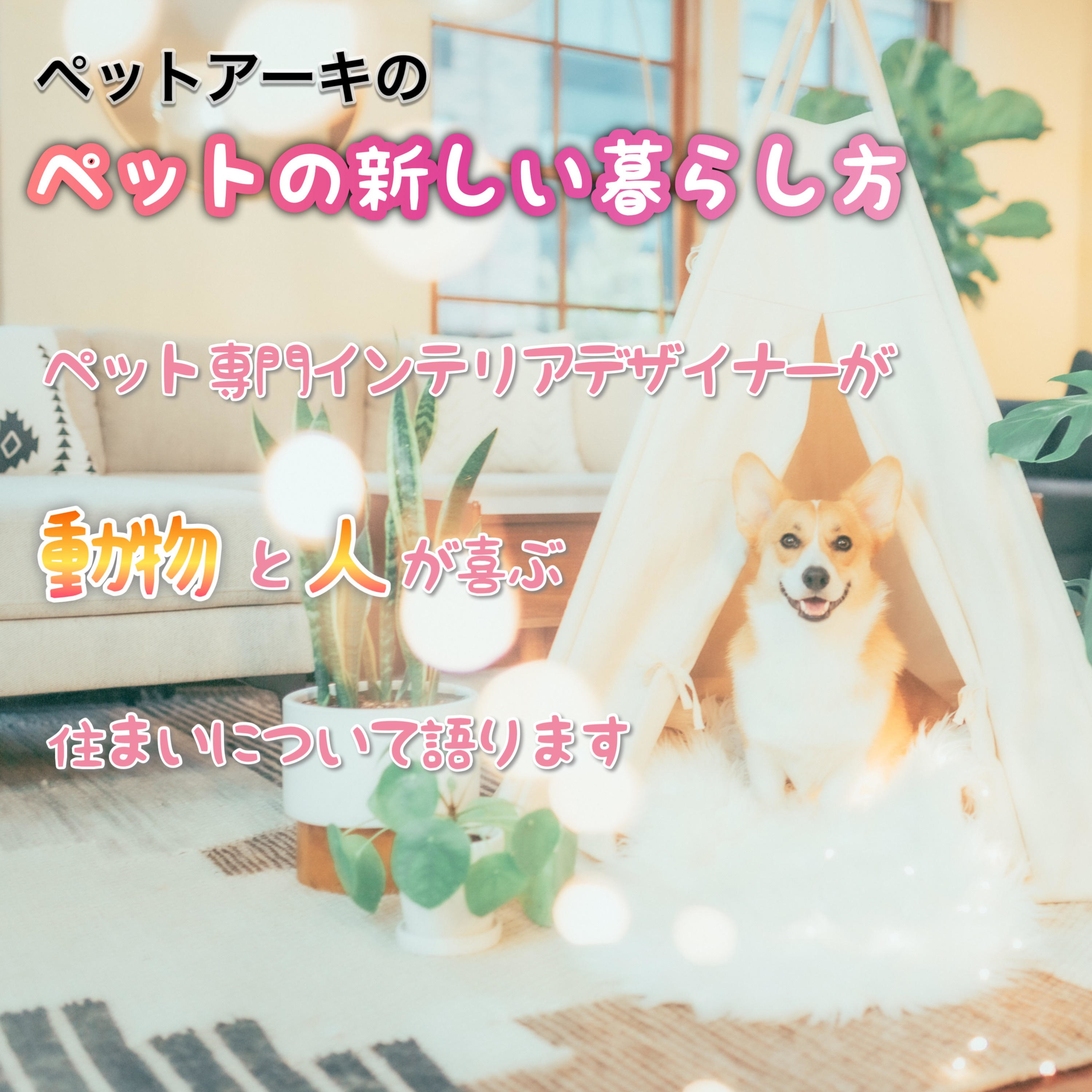 ペットアーキのペットの新しい暮らし方