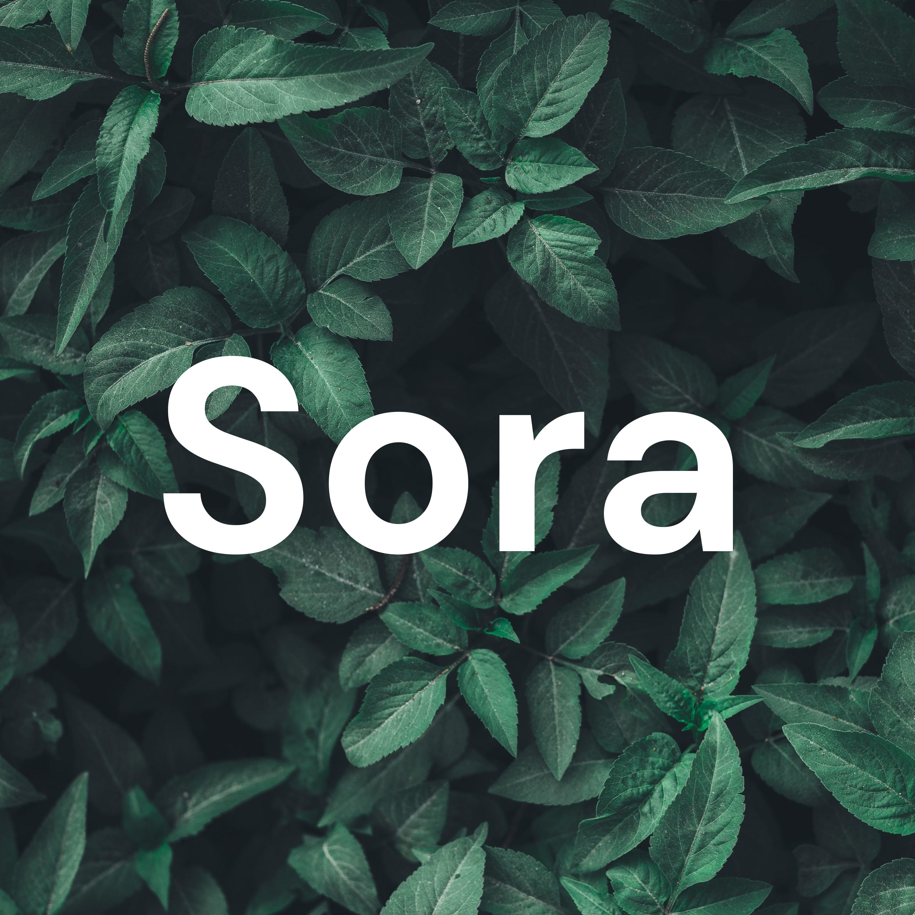 Sora podcast artwork