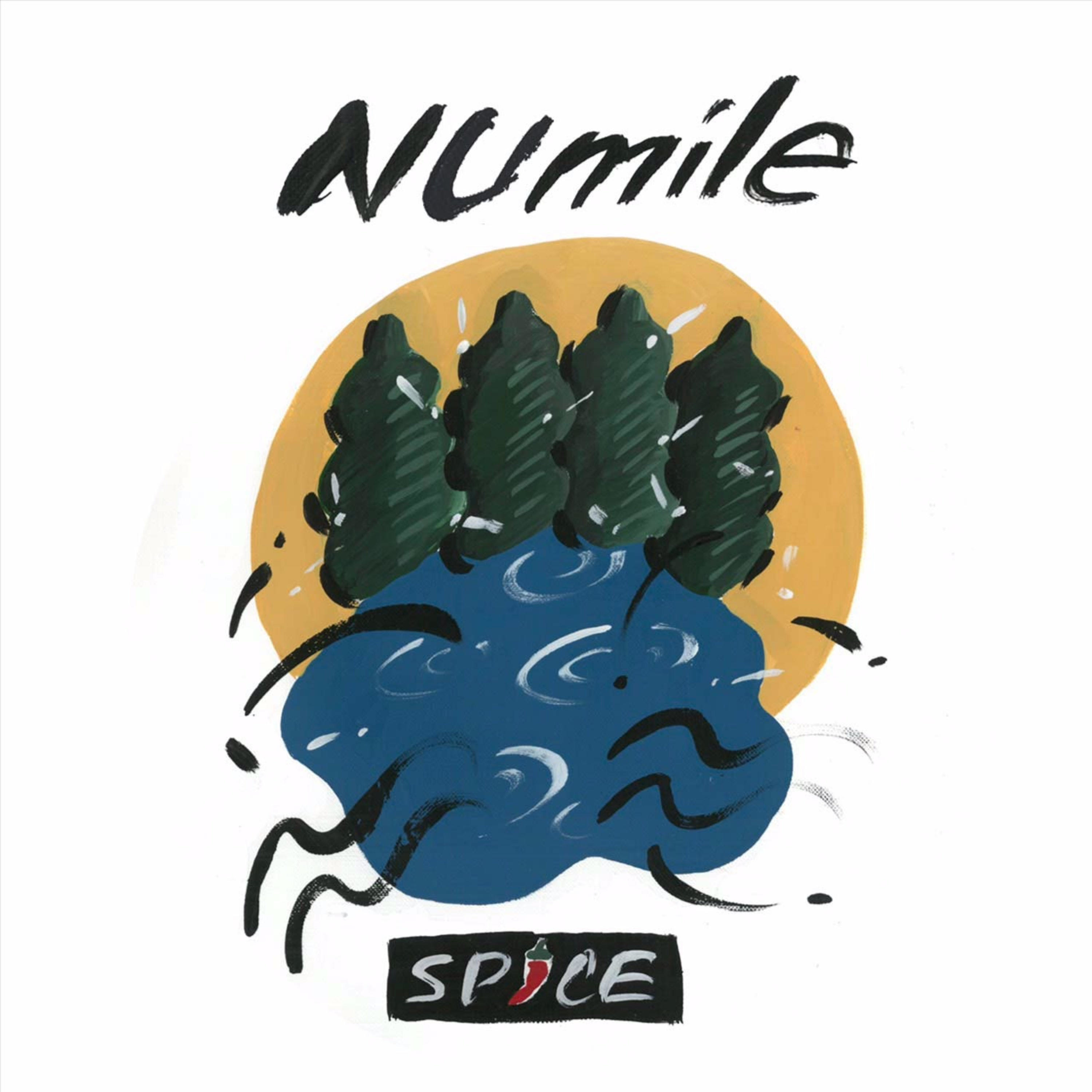 NUmile Supported by SPICE NUmile Supported by SPICE