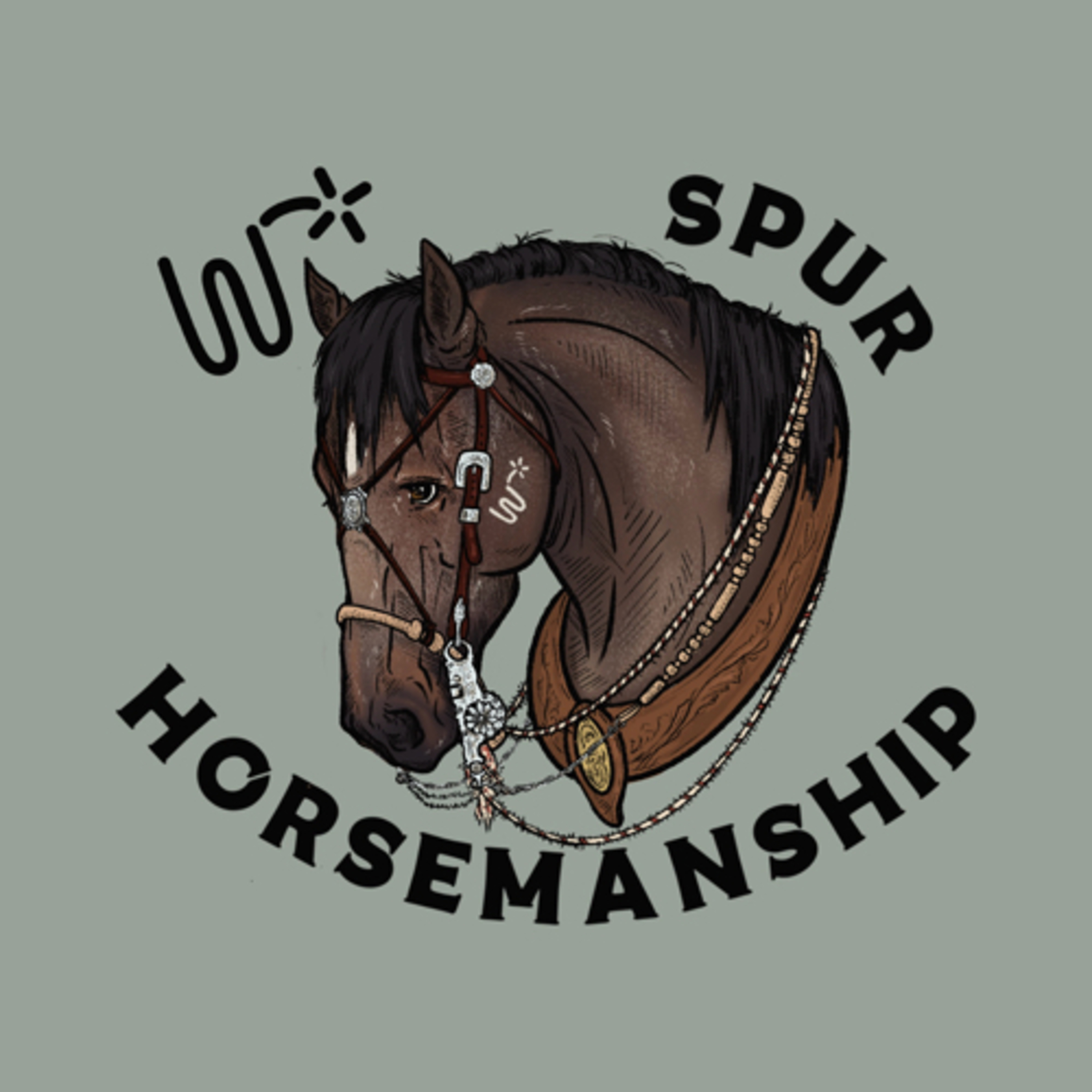 Do’s and Don’ts when it comes to adopting a BLM mustang from a holding facility. 