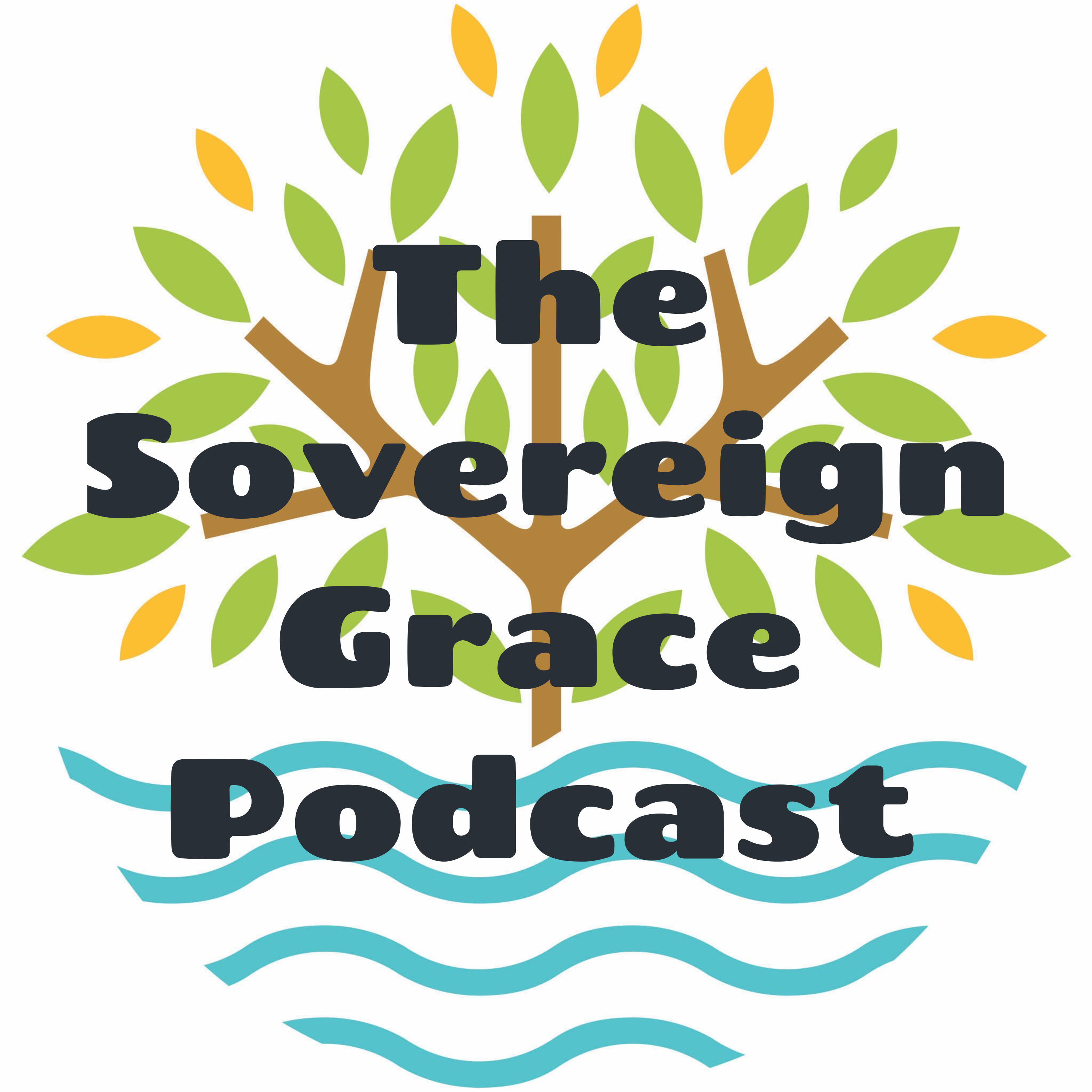 The Sovereign Grace Podcast podcast artwork