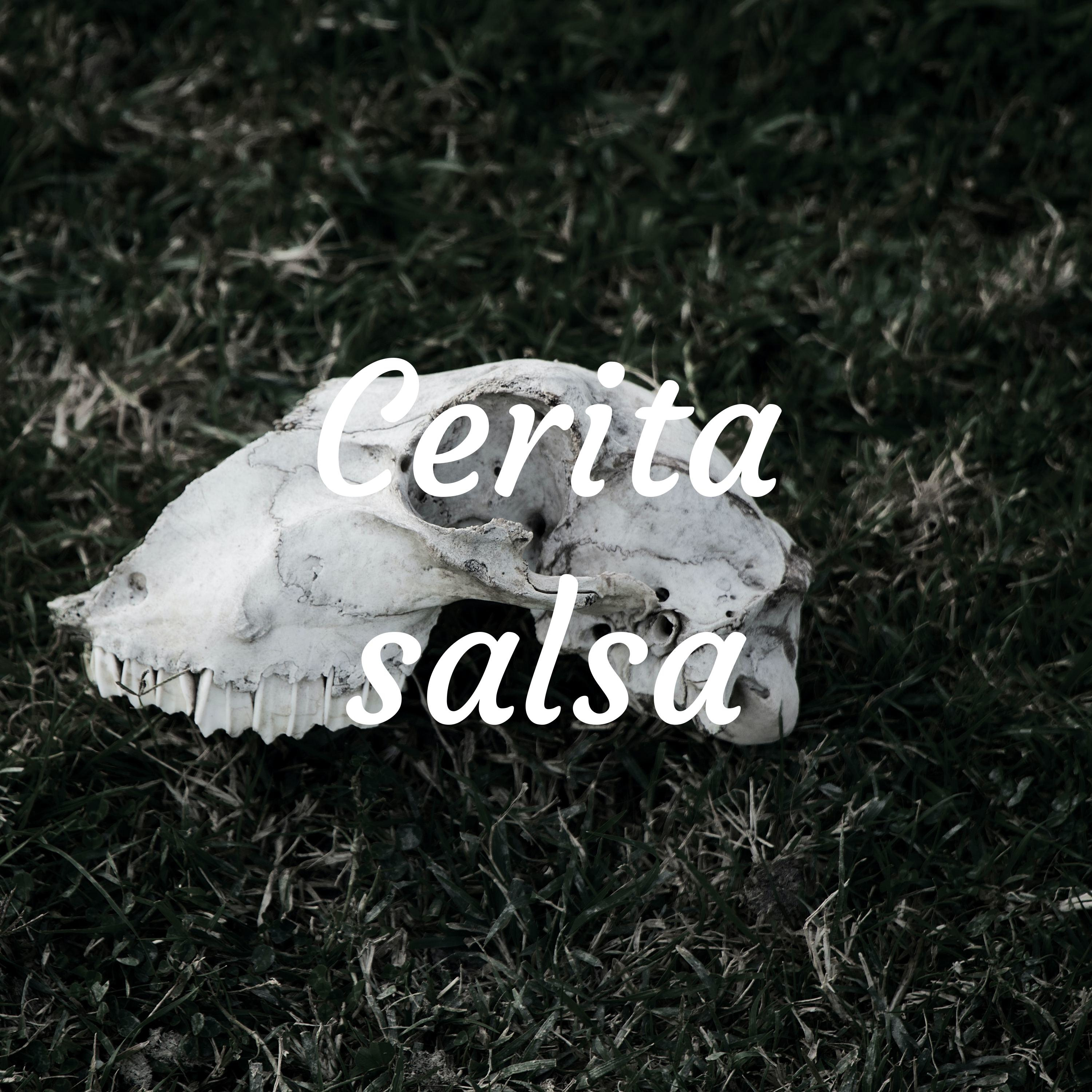 Cerita salsa