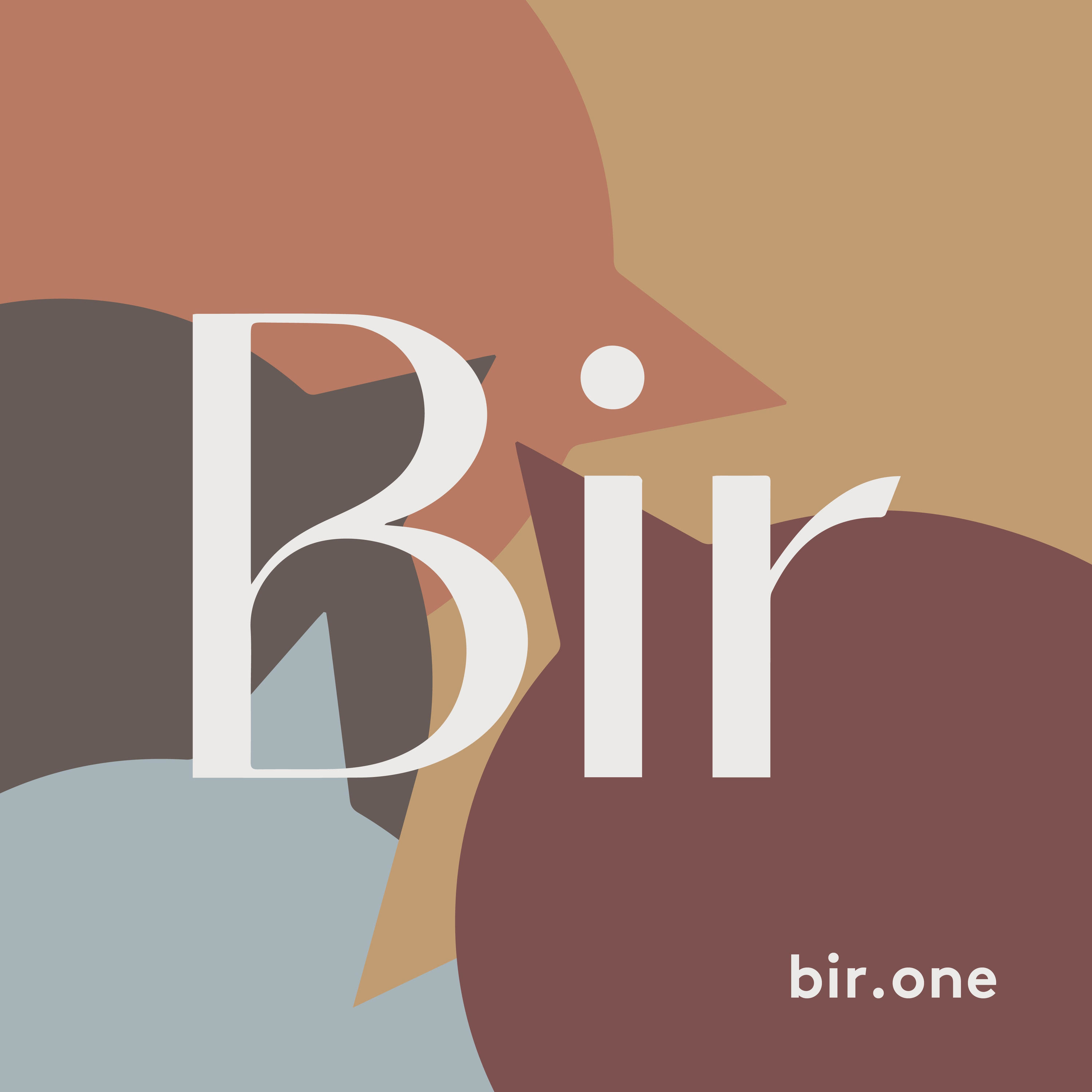 bir.one