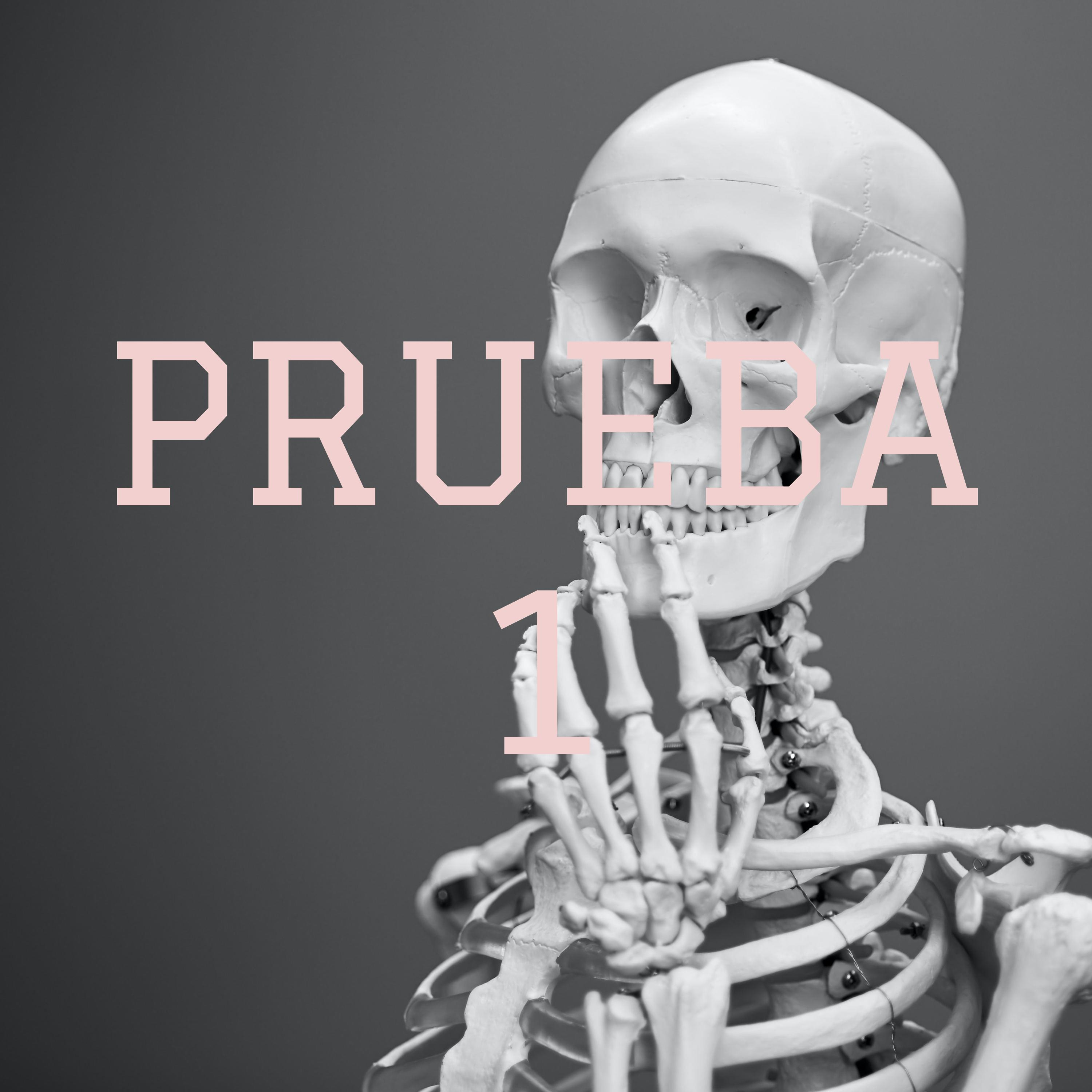 PRUEBA 1