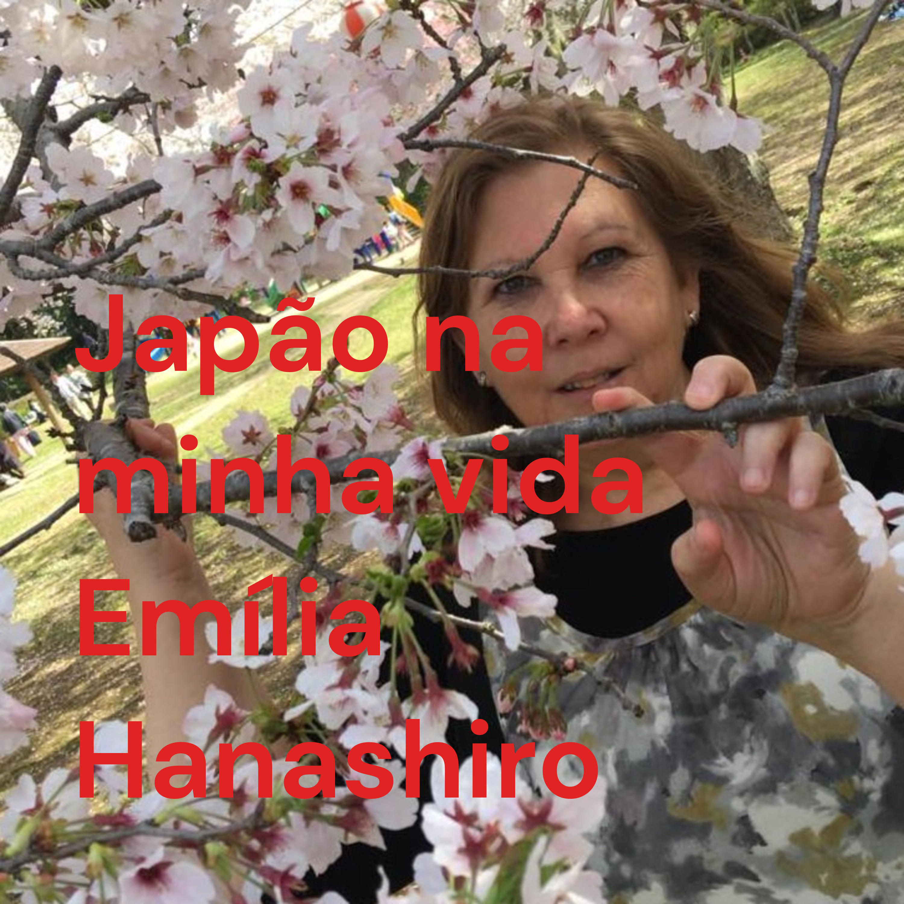 Japão na minha vida