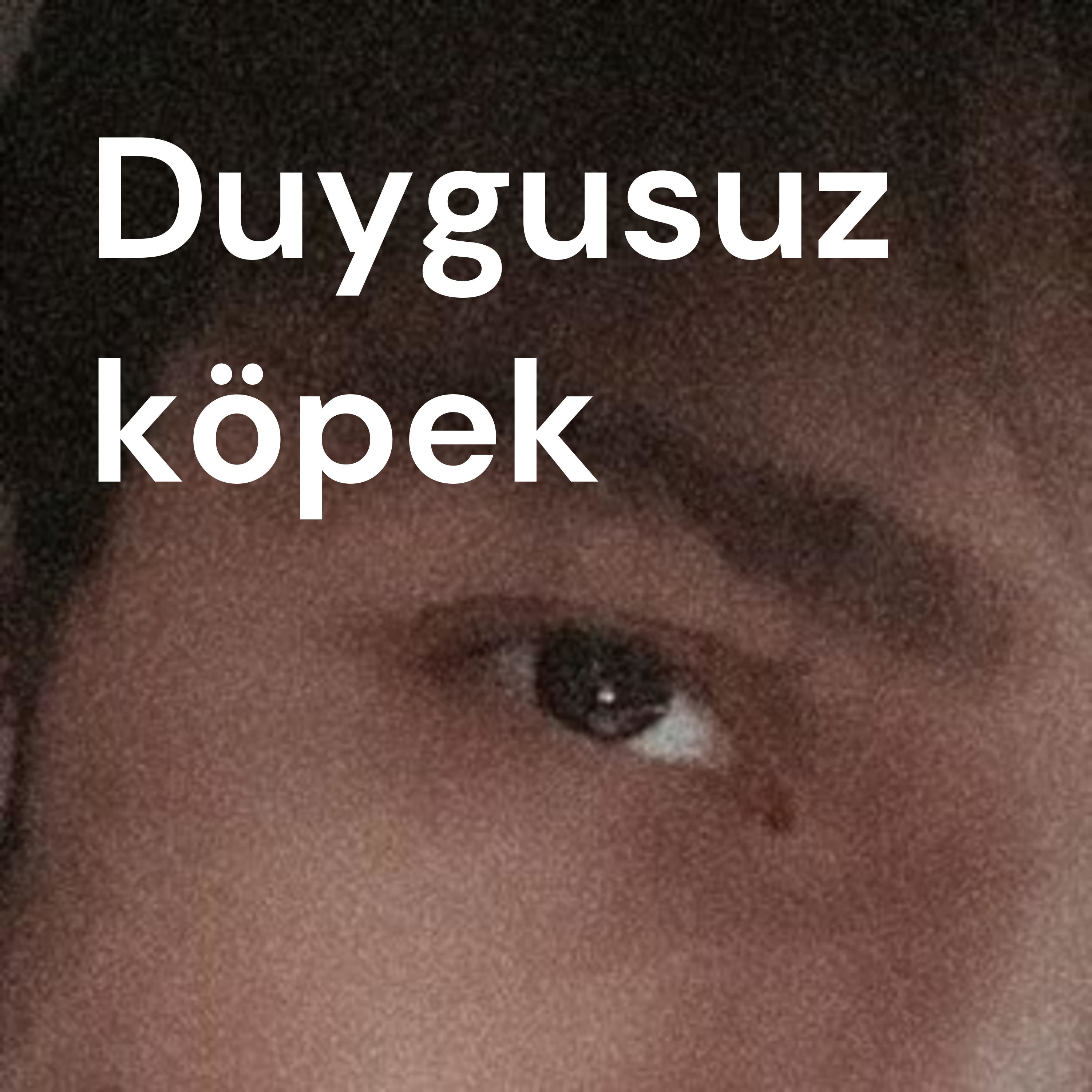 Duygusuz köpek podcast artwork