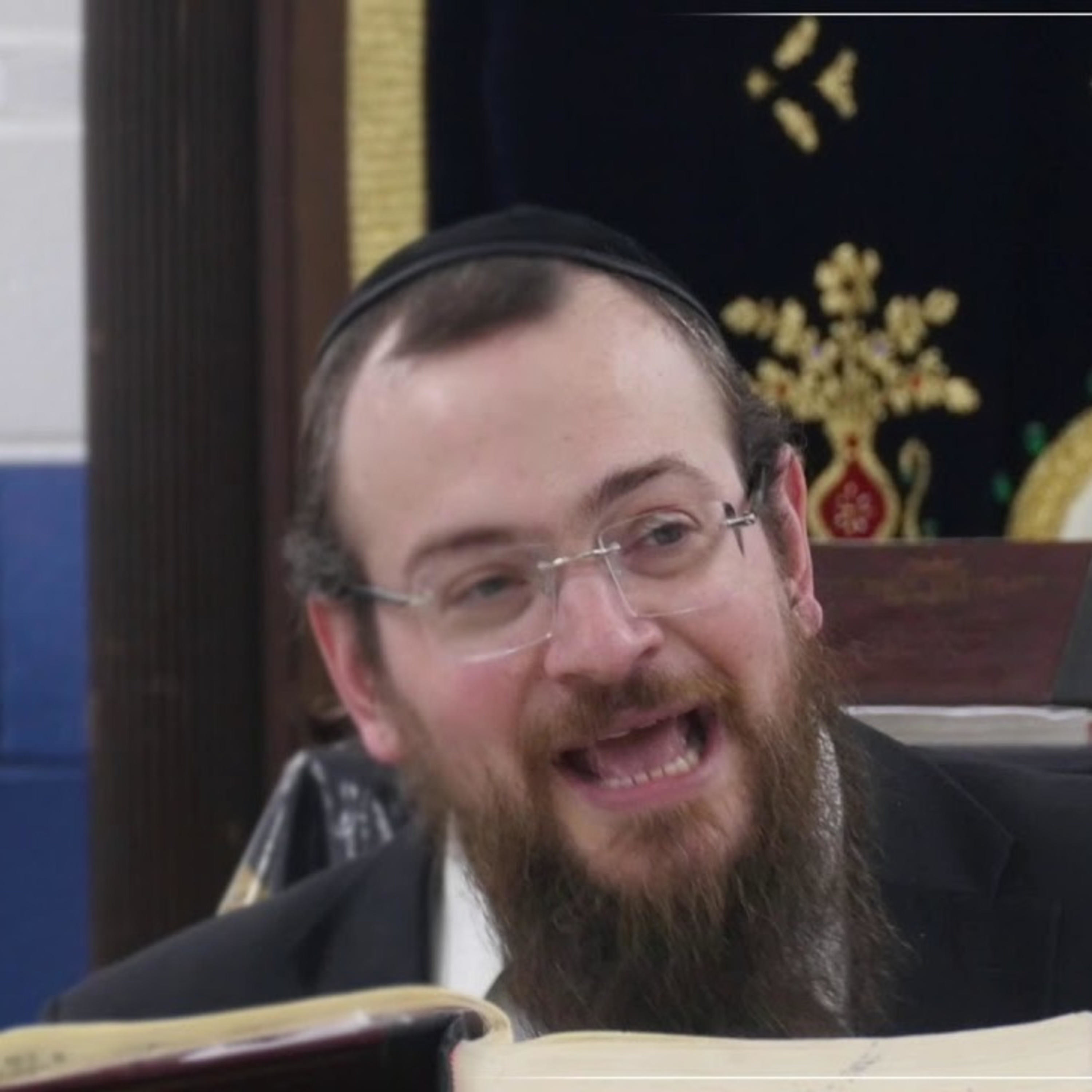 Rav Asher Weiss podcast artwork