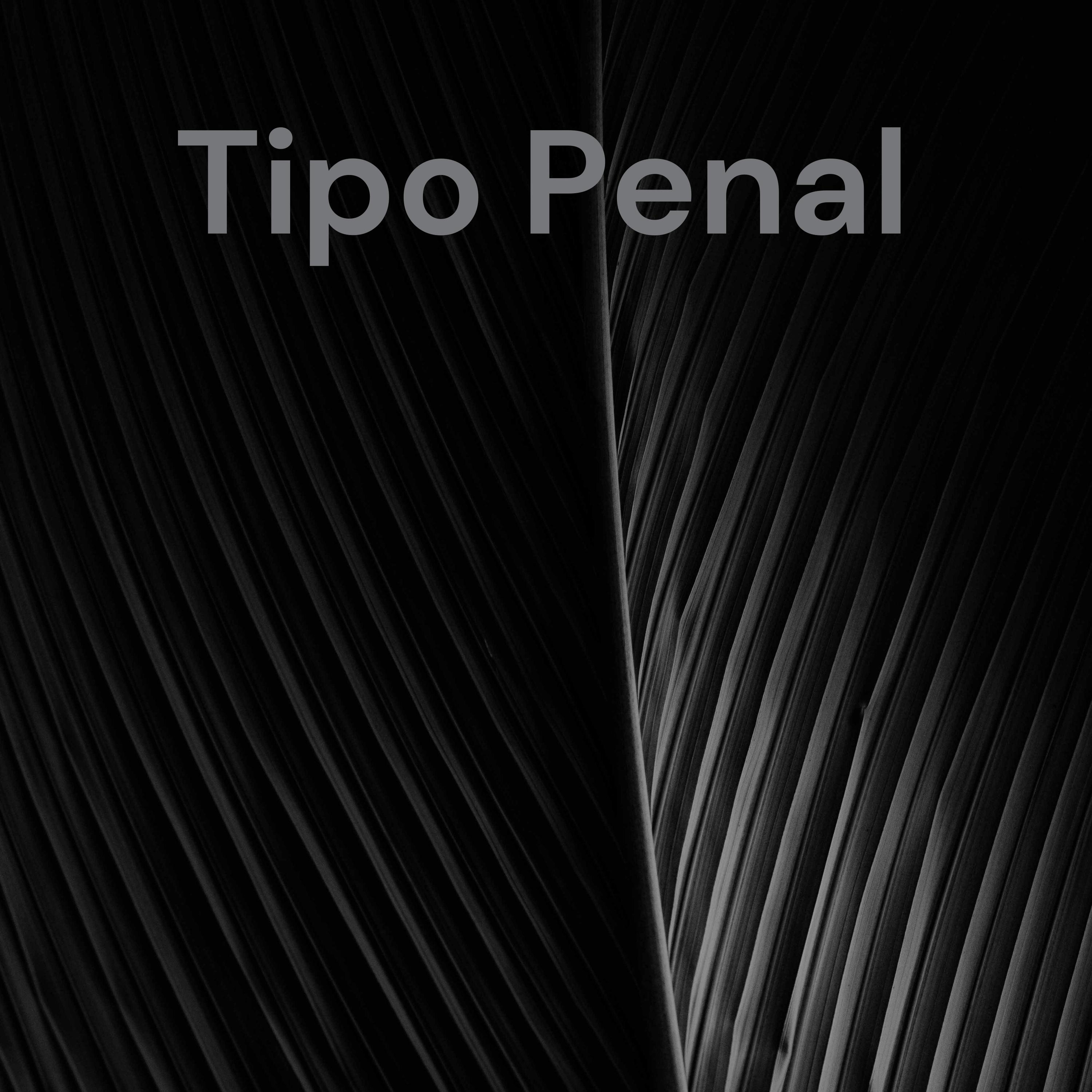 Tipo Penal: La Bigamia 