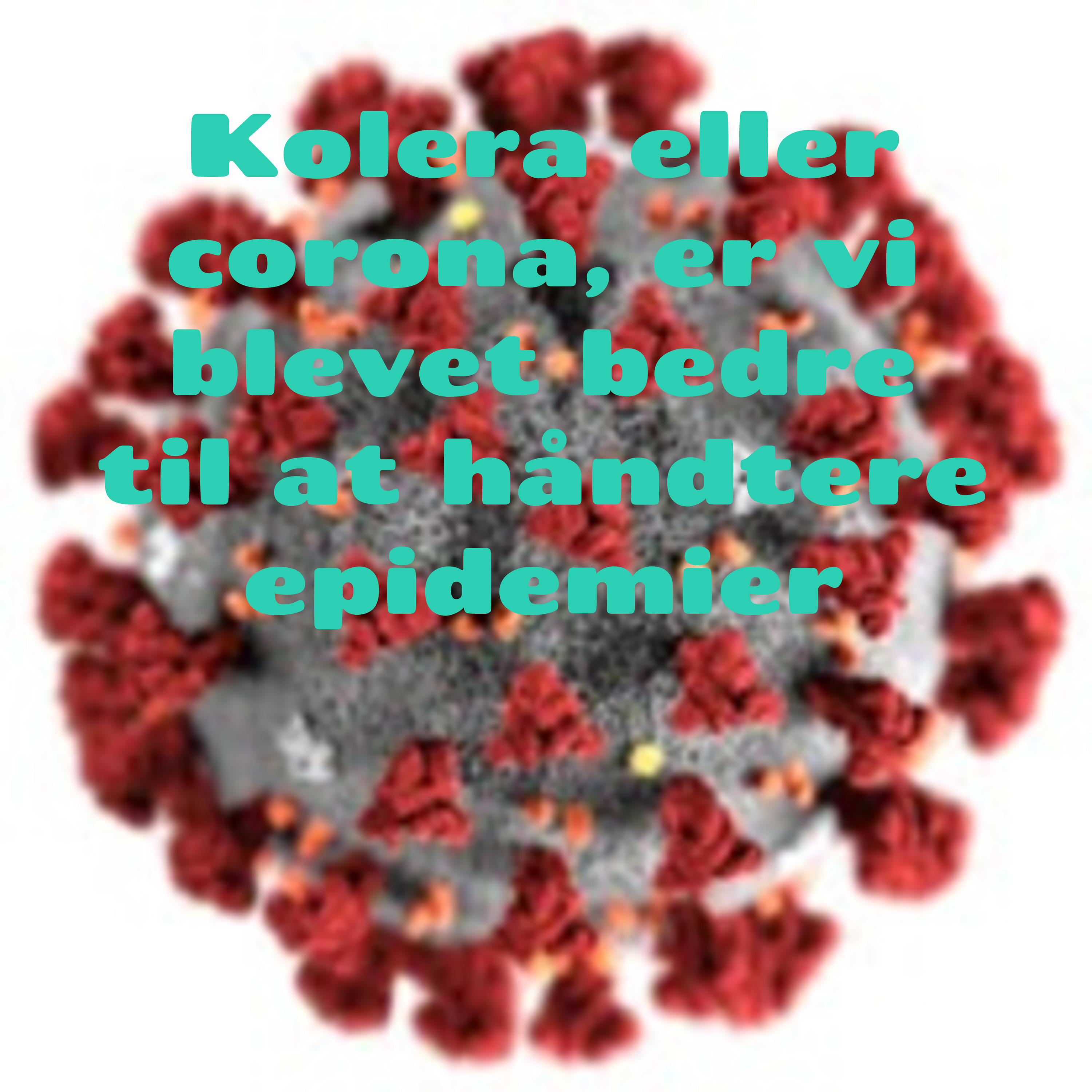 Kolera eller corona, er vi blevet bedre til at håndtere epidemier af Mads Paaske Riisberg