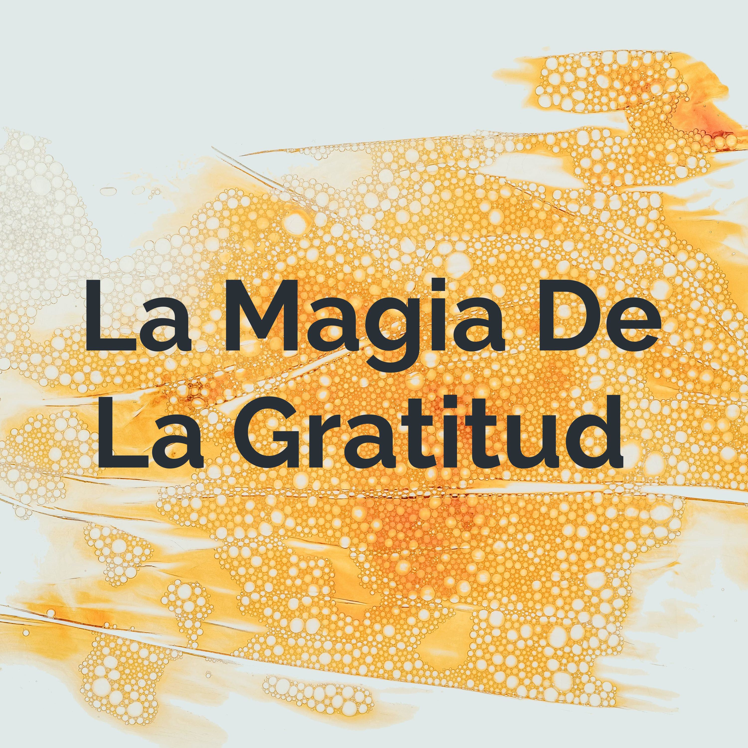 La Magia De La Gratitud 