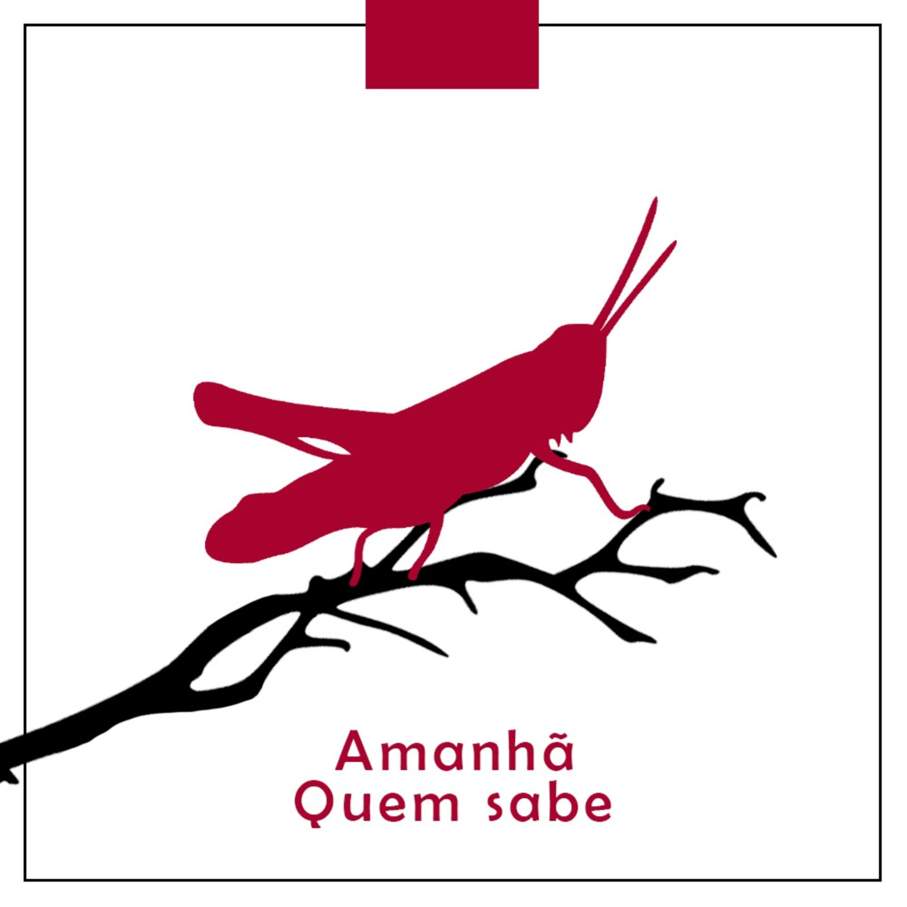 Amanhã Quem Sabe podcast artwork