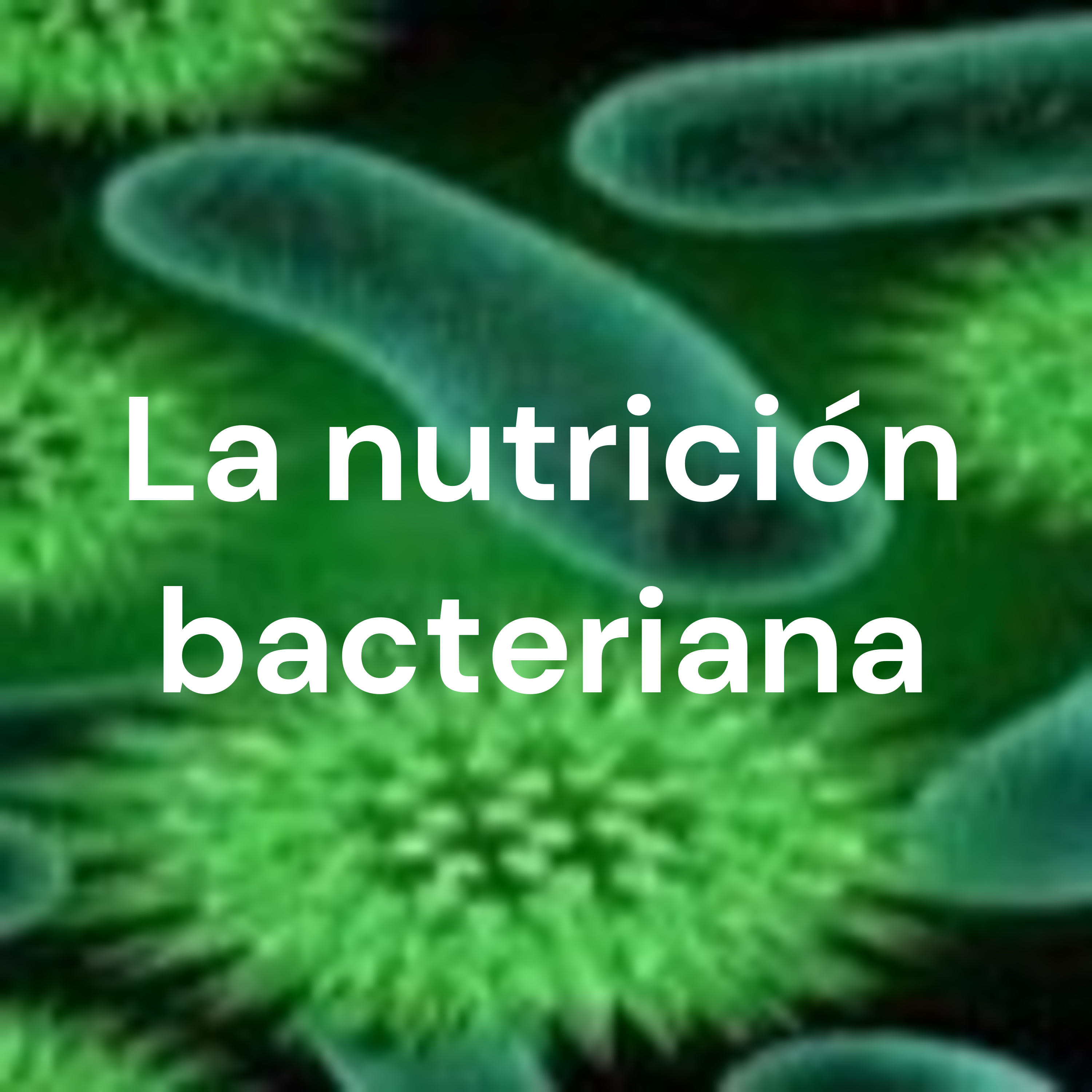 La nutrición bacteriana