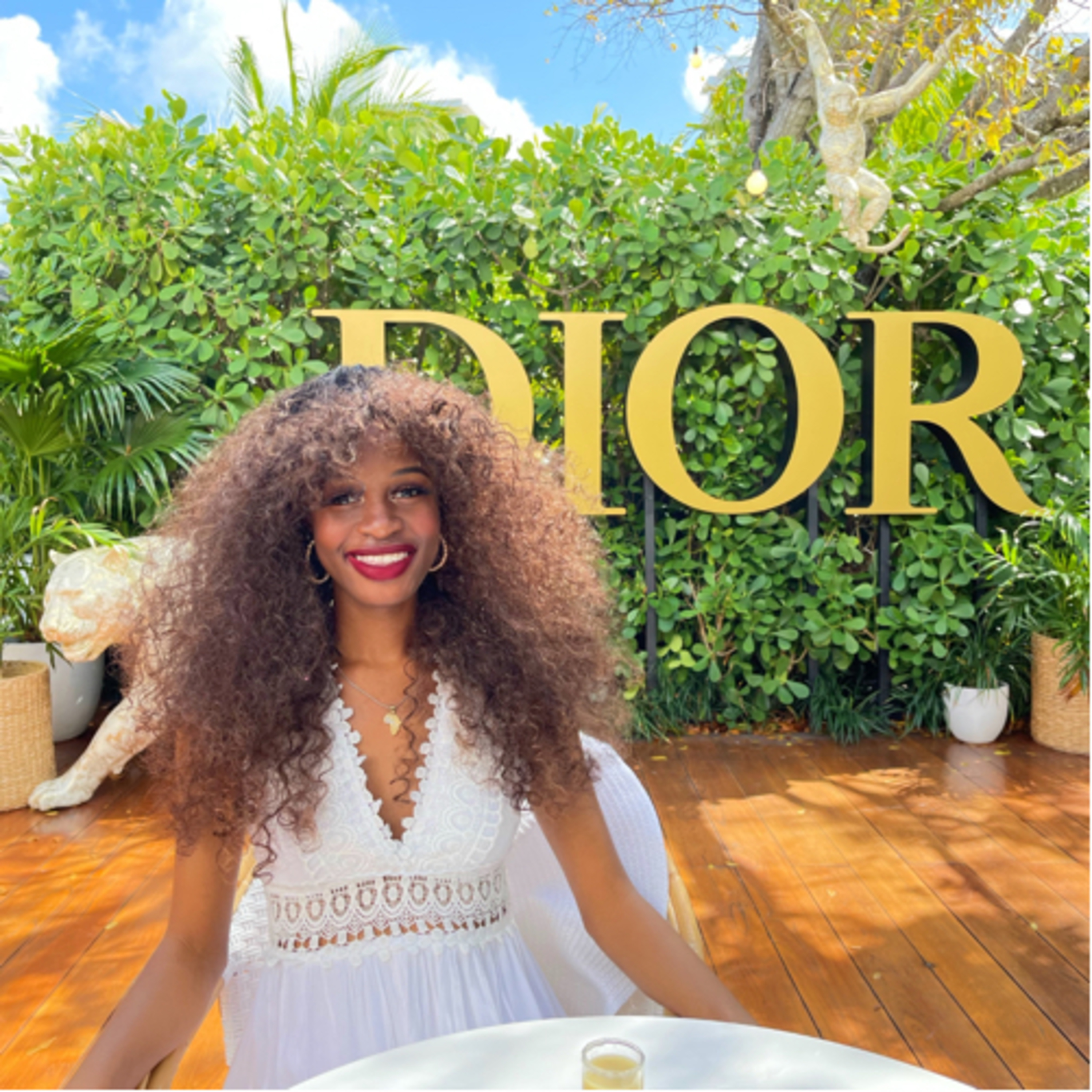 Black Girl in Dior