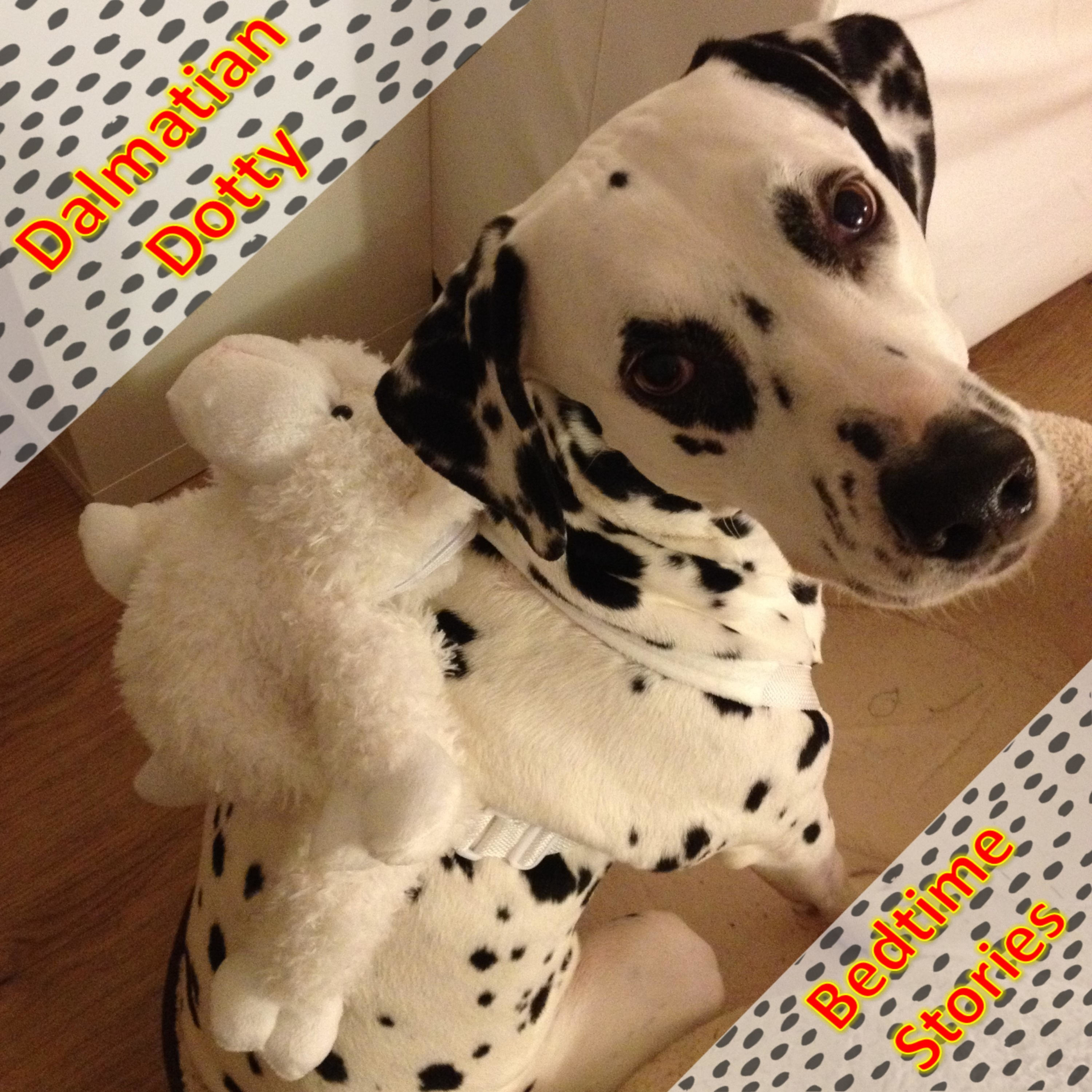 Dalmatian Dotty Bedtime Stories podcast artwork