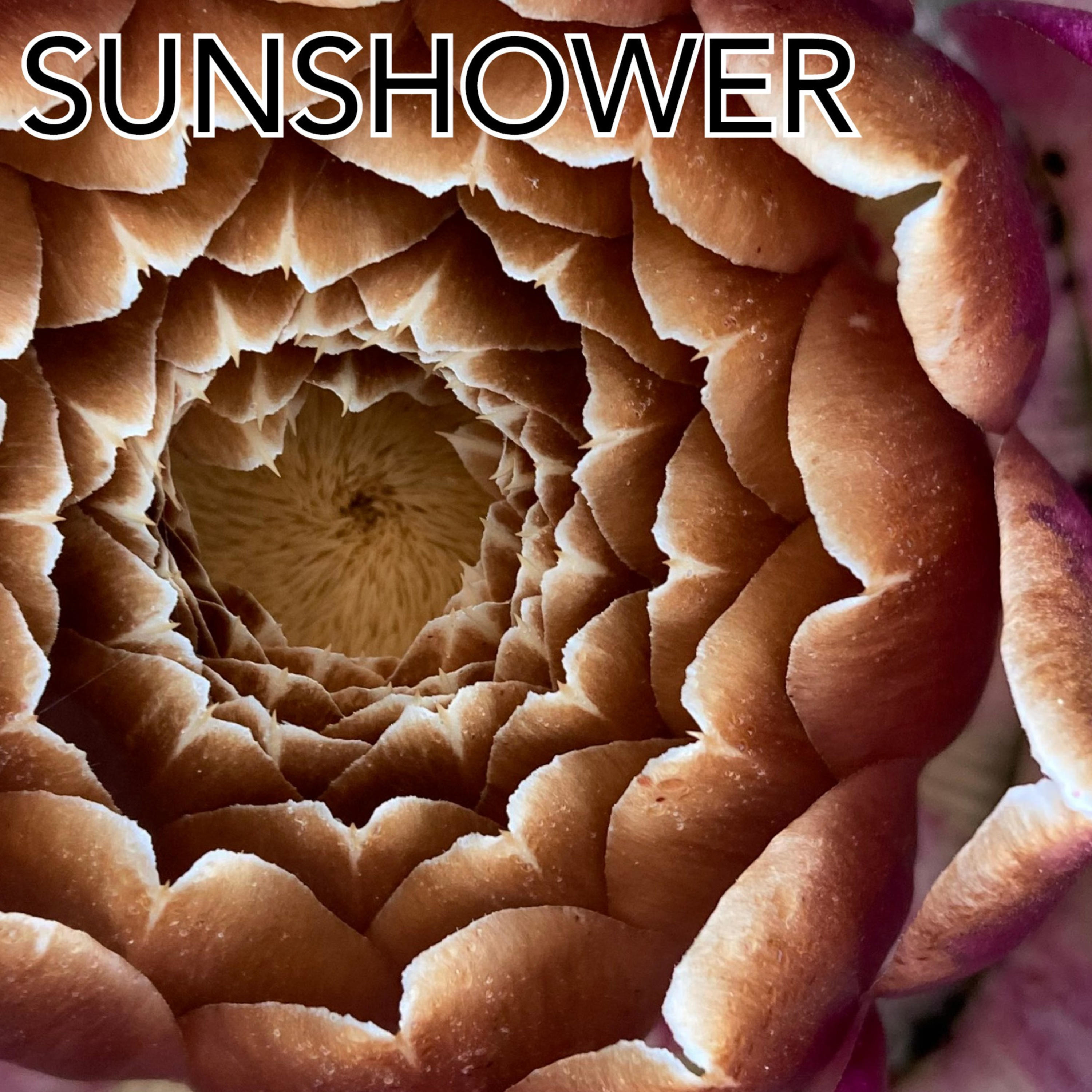 Sunshower podcast artwork