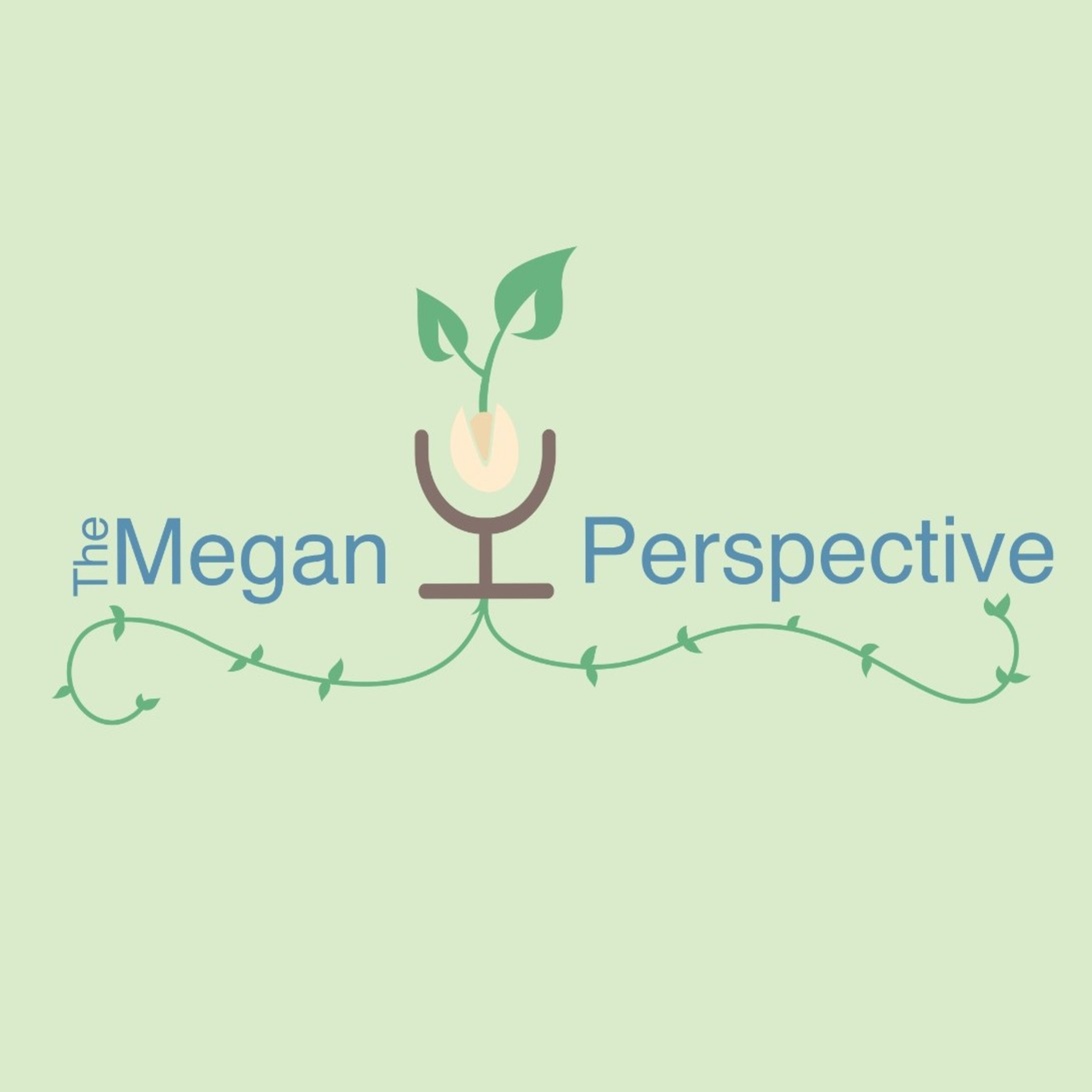The Megan Perspective