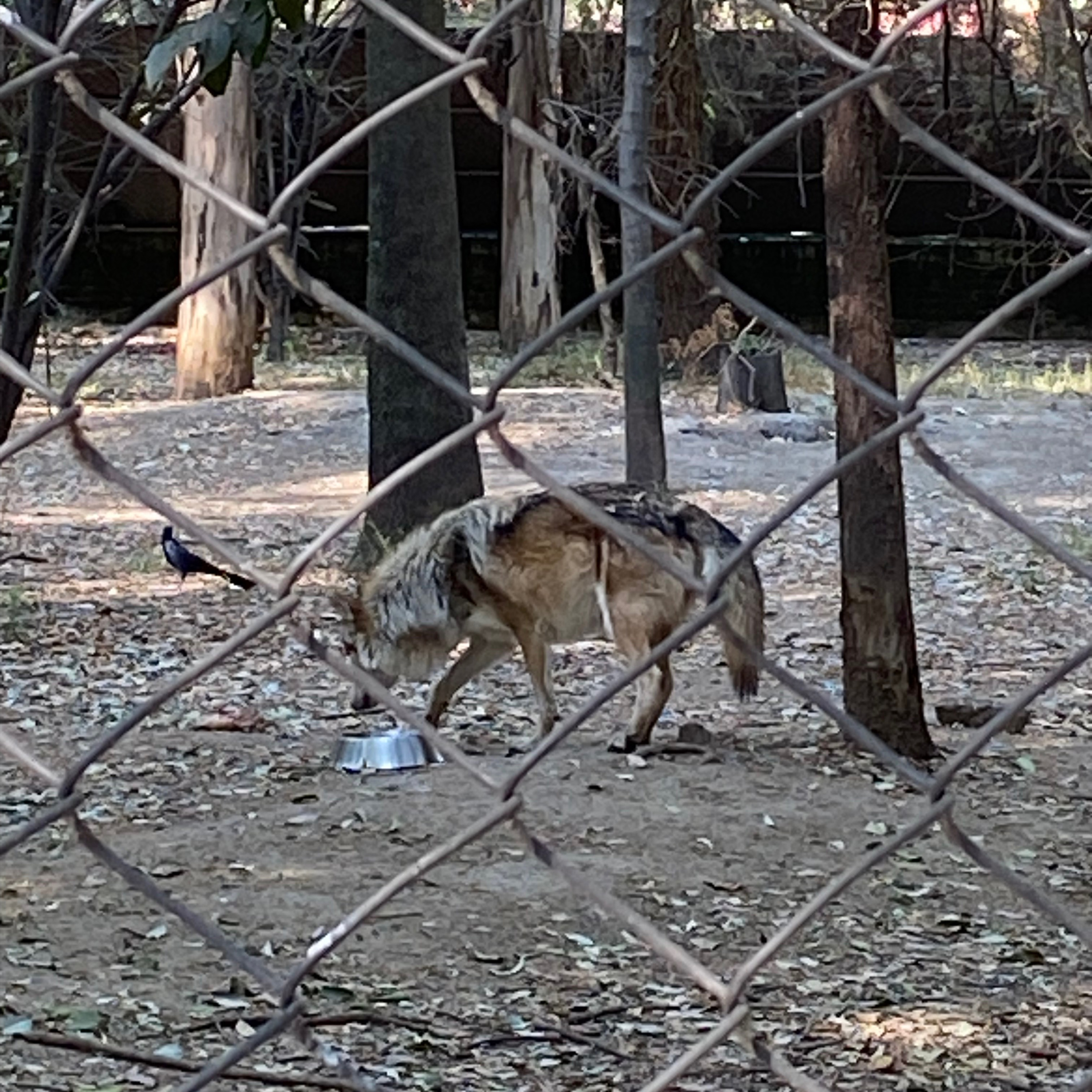 Alambres 
Poesía en español
