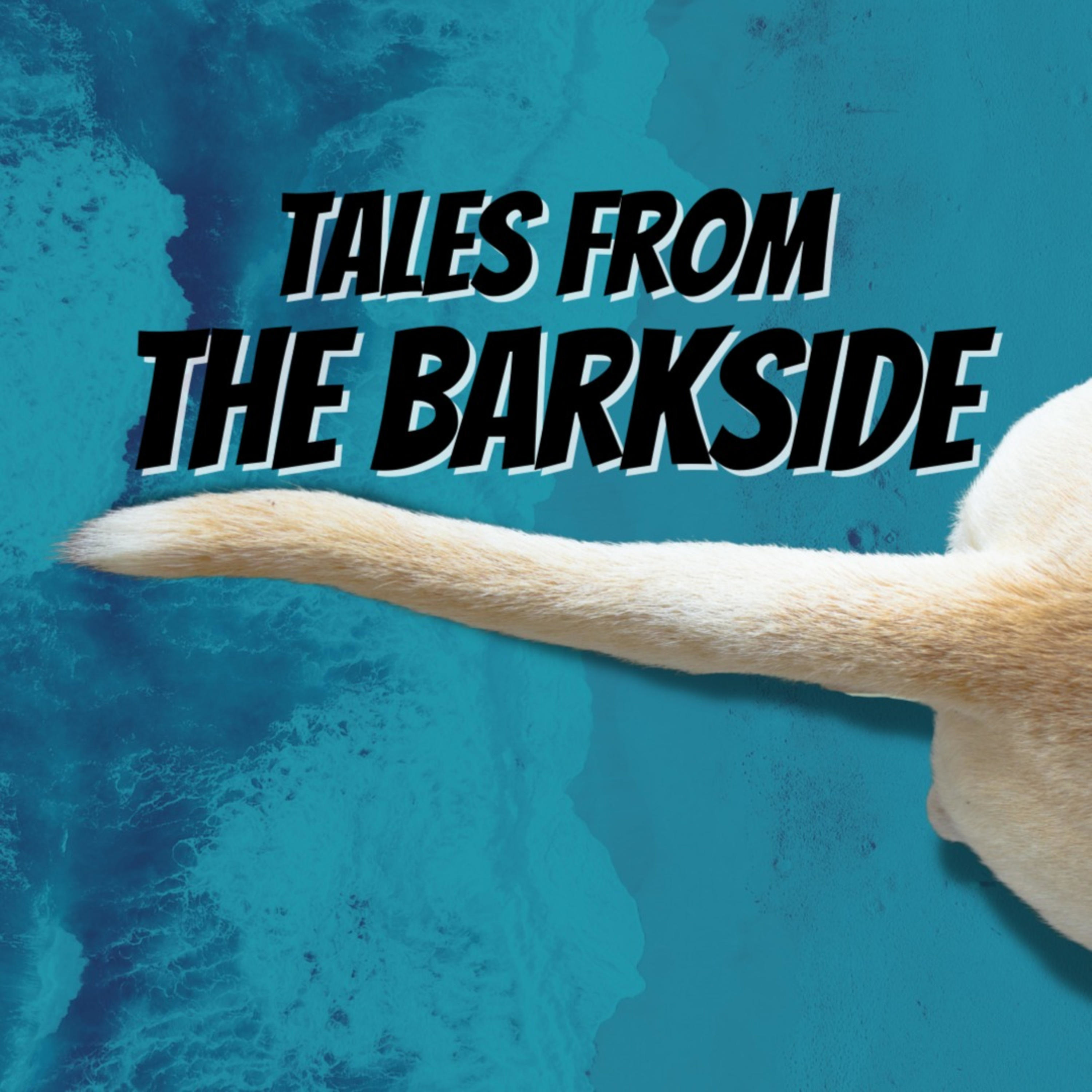 Tales from The Barkside podcast artwork