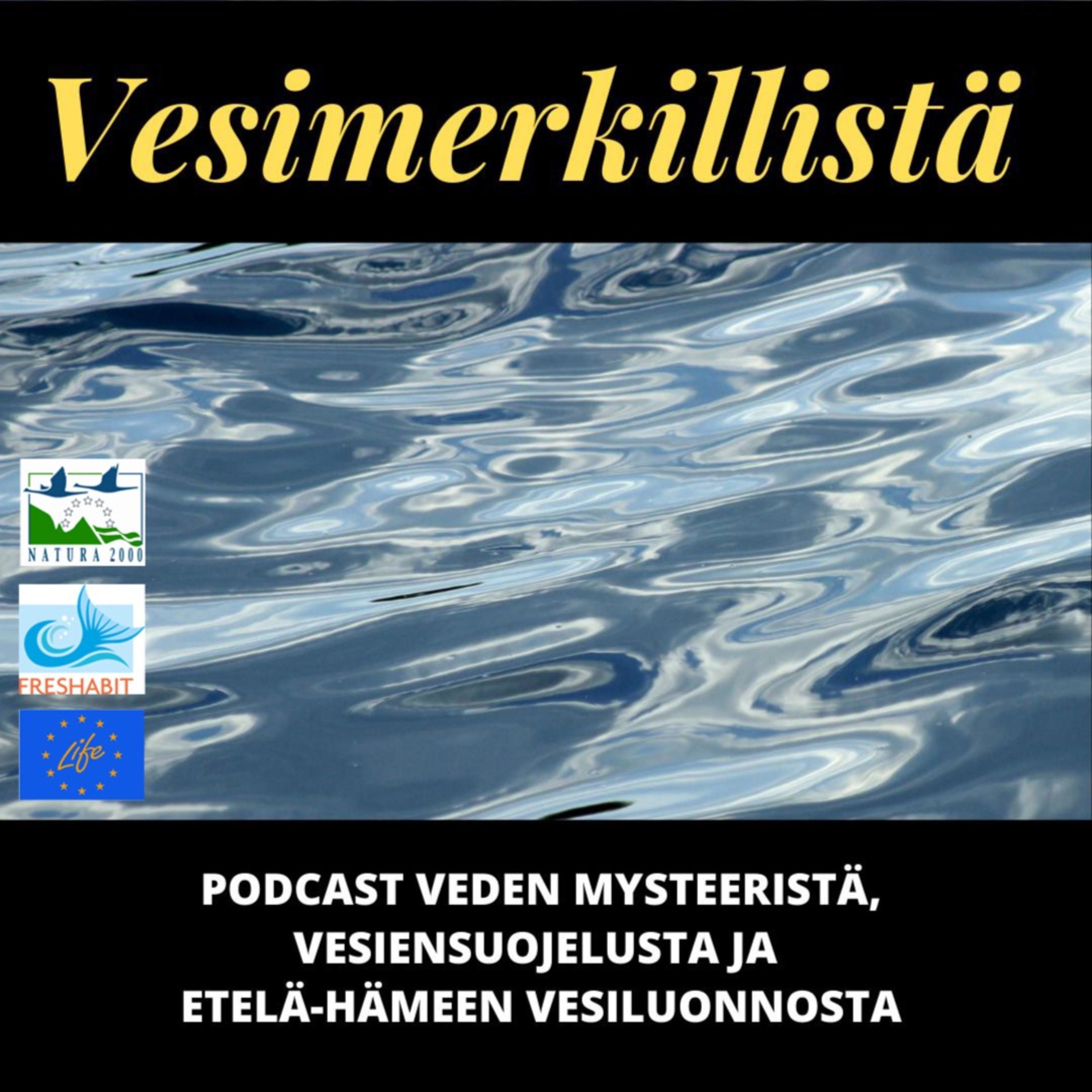 Vesimerkillistä