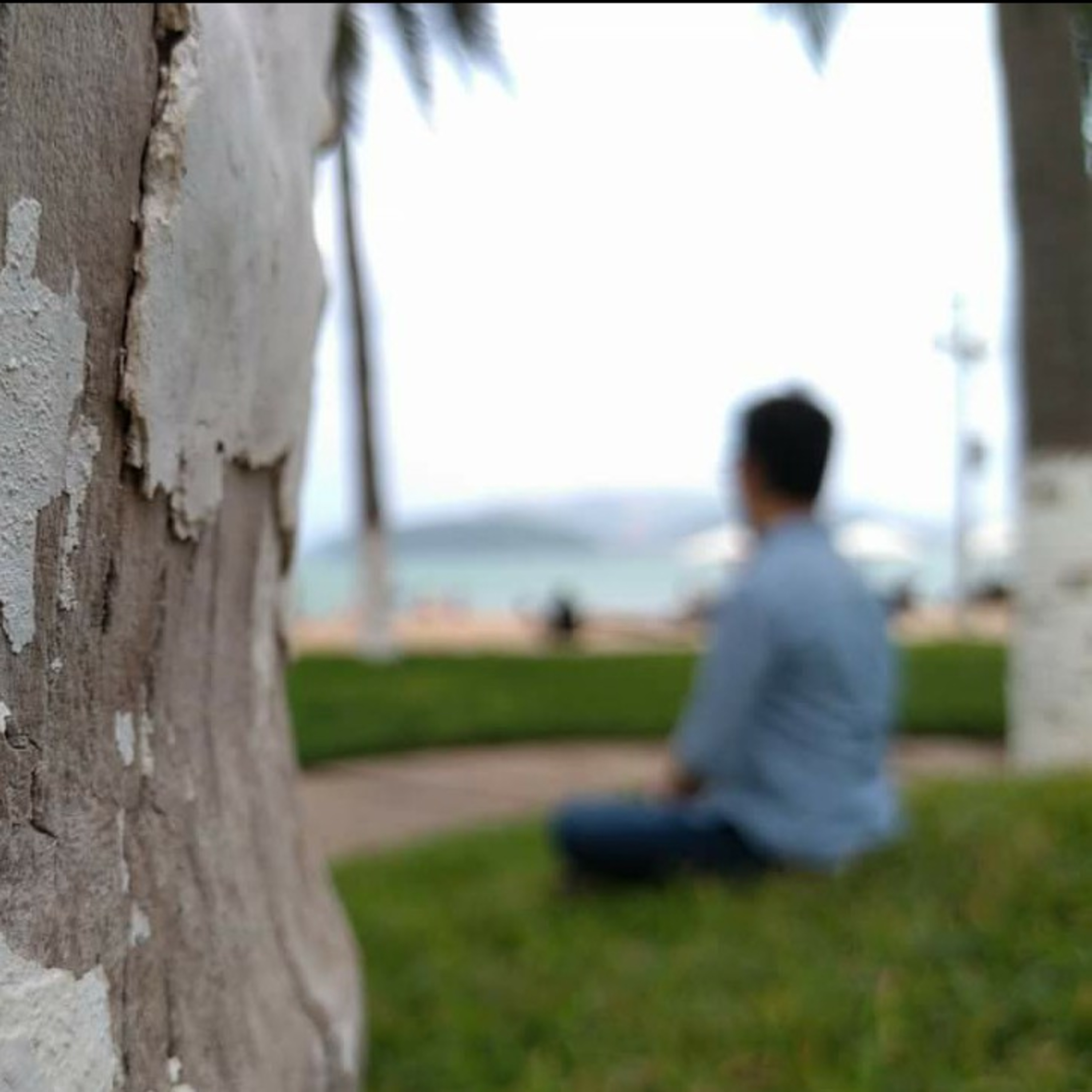 Những Mảng Màu Cuộc Sống