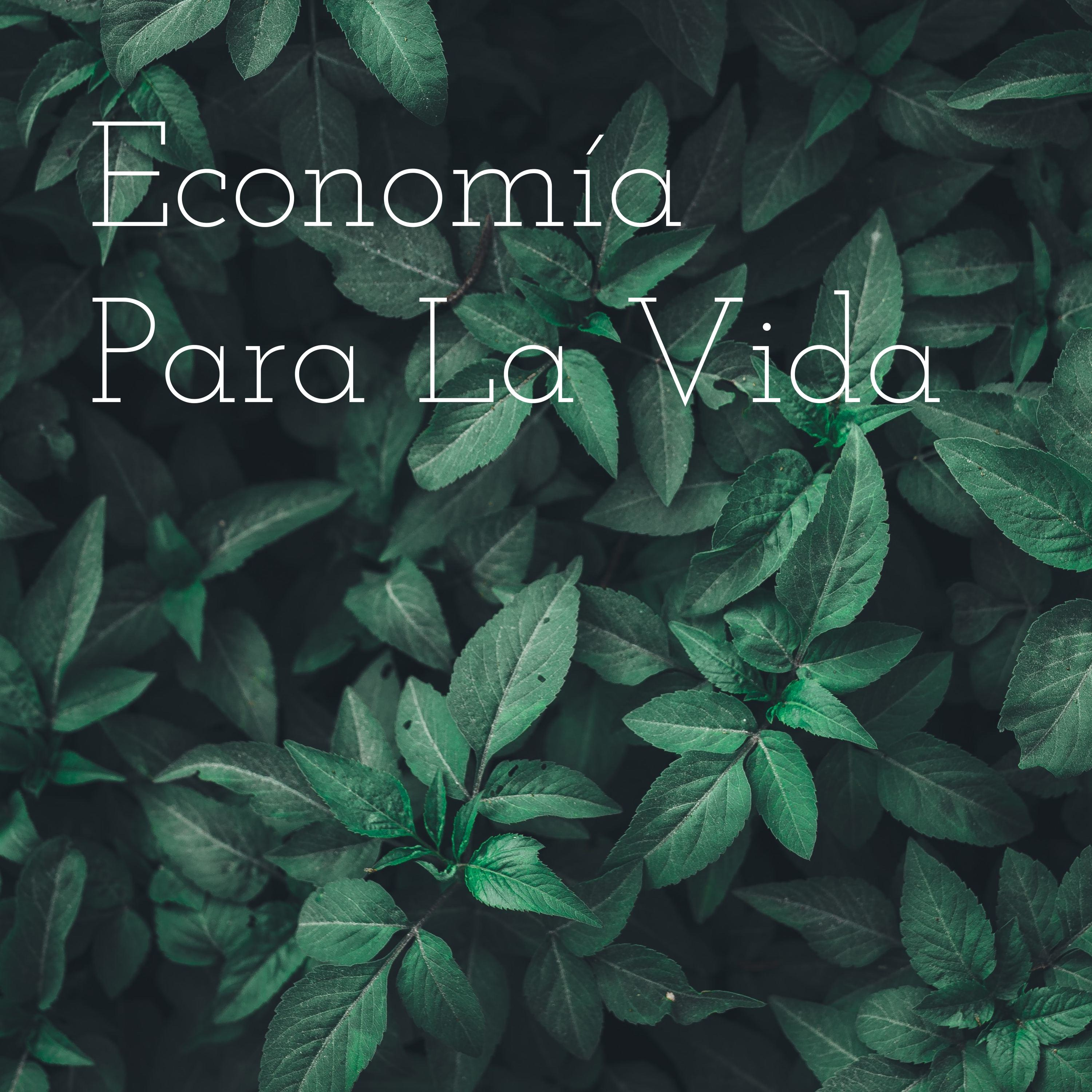 Introducción