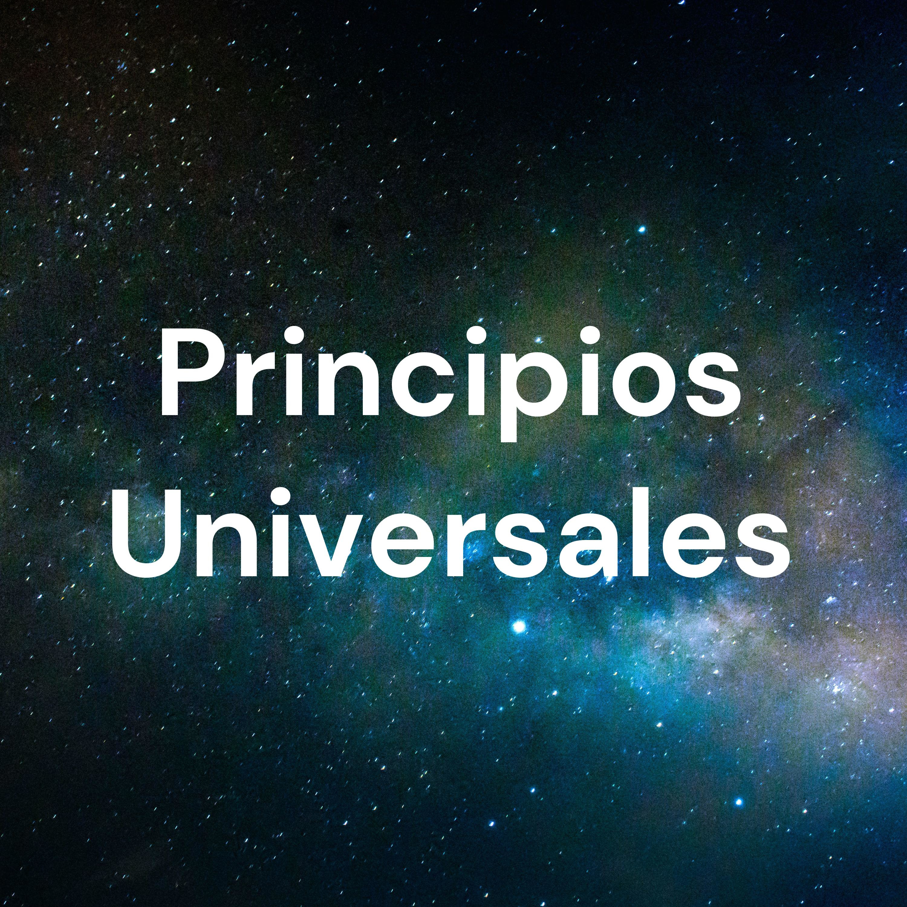 Principios Universales