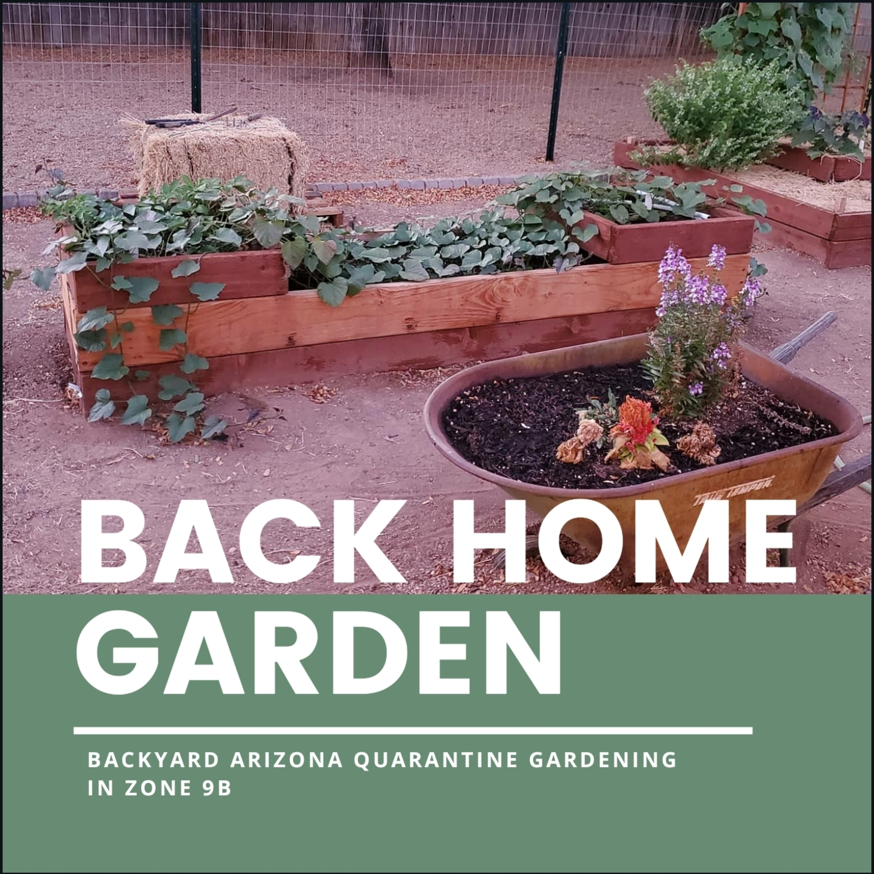 Short intro to the Back Home Garden and Arizona Garden Tour