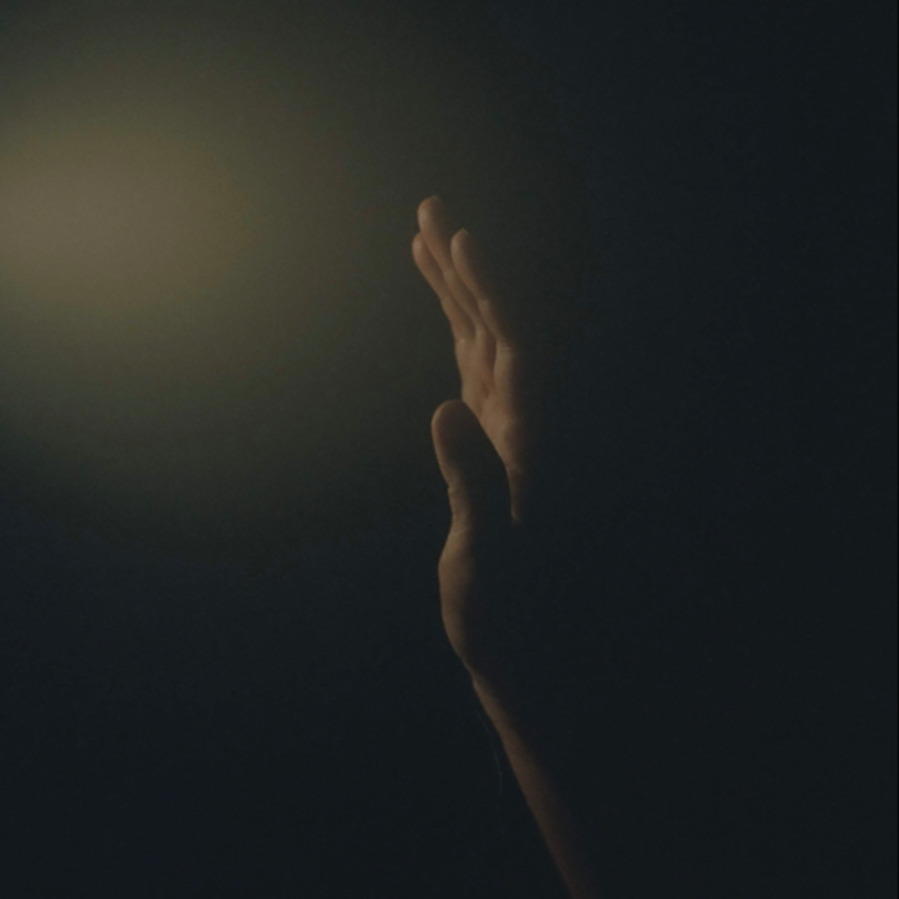 今夜はひとつだけ