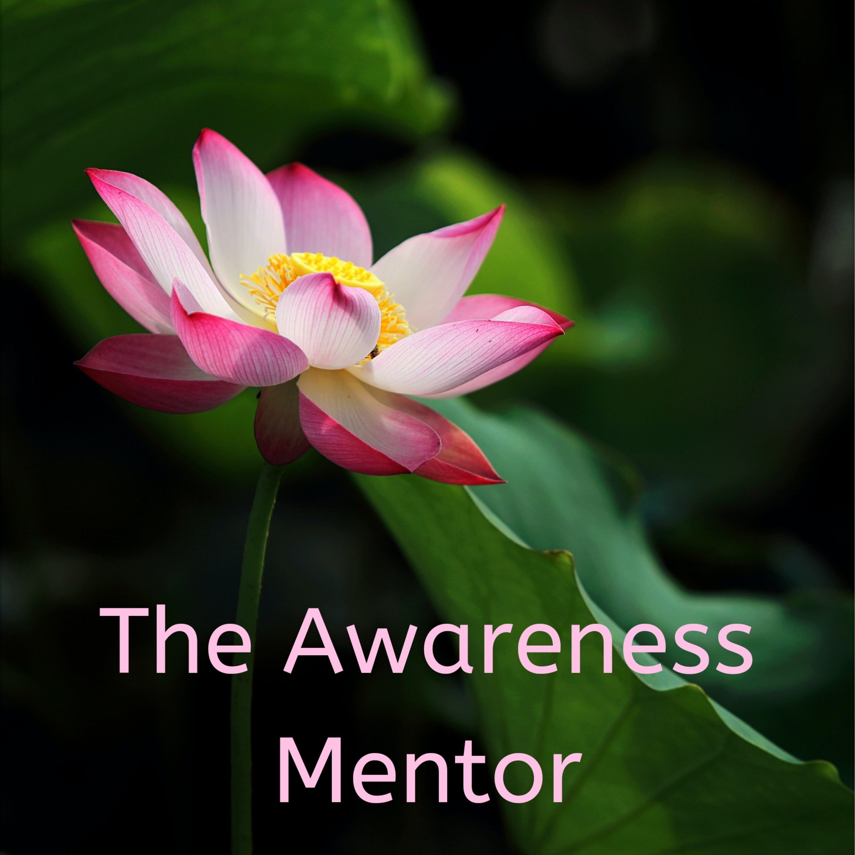 The Awareness Mentor