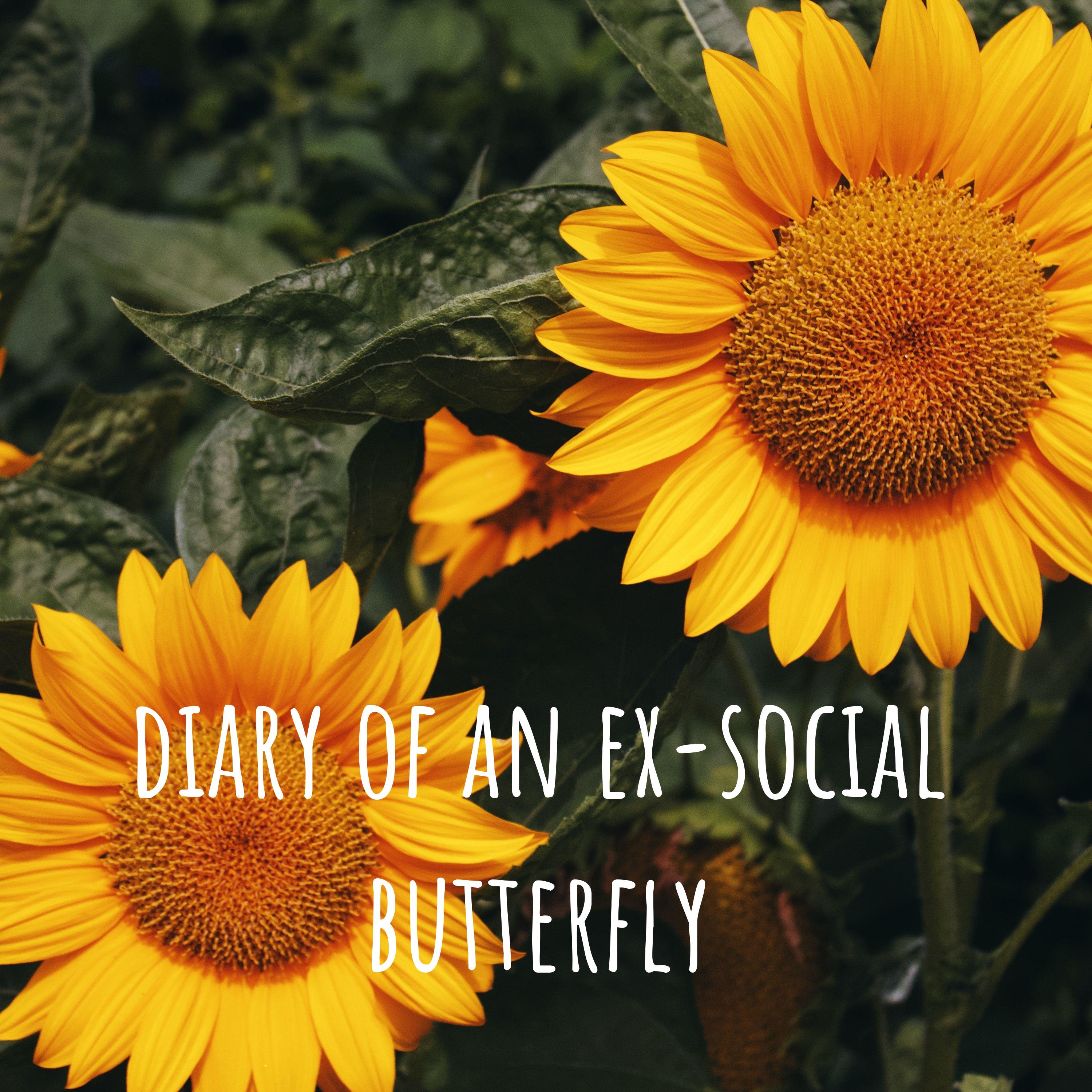diary of an ex-social butterfly