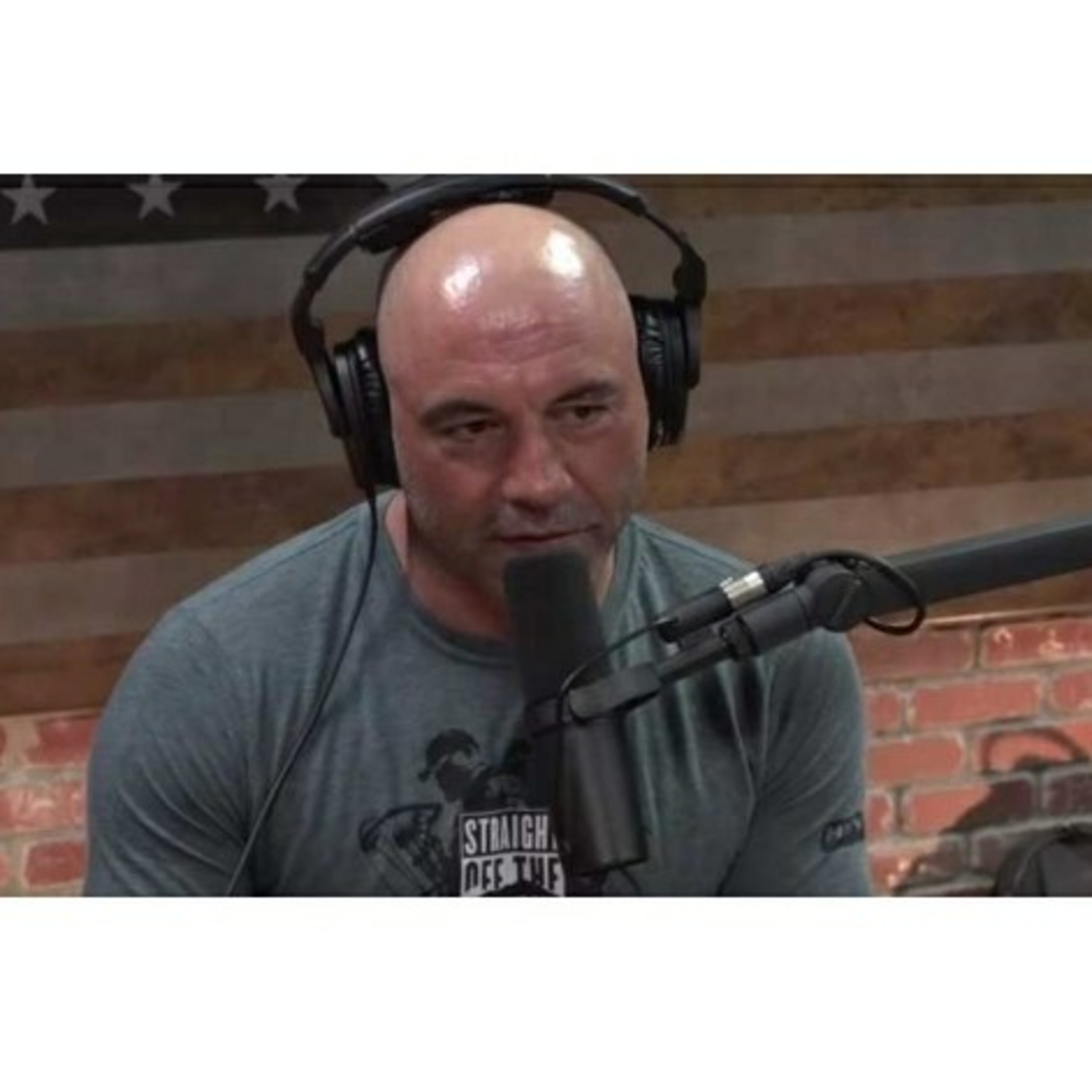Noticia Internacional - Joe Rogan da Positivo A COVID 19. cover